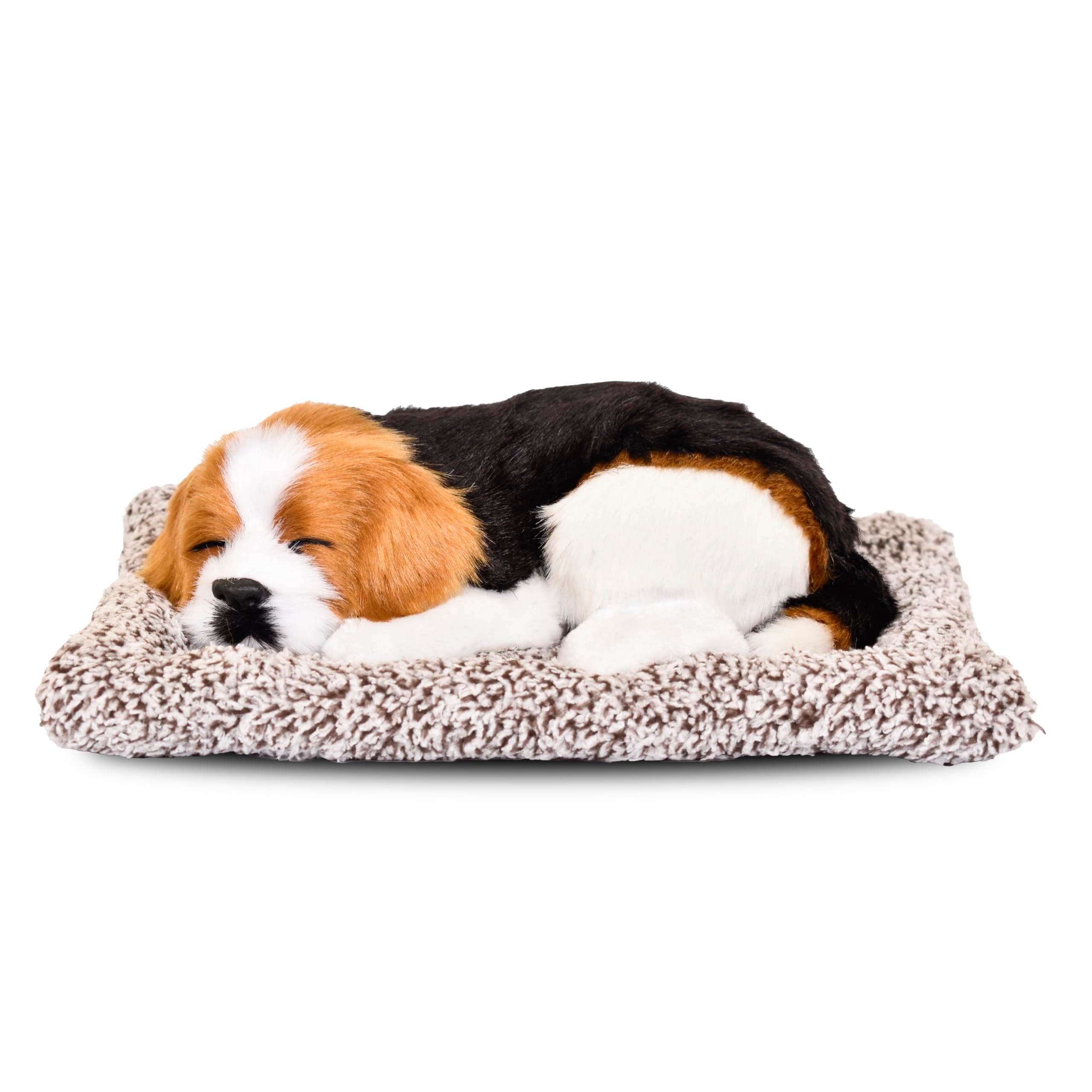 Premium Sleeping Puppy Decor Plush with Mat | Realistic Soft Fur Dog Showpiece for Home, Office & Car Dashboard | Pet Lover Aesthetic Gift (25 × 19 × 7.5 cm, Beagle)