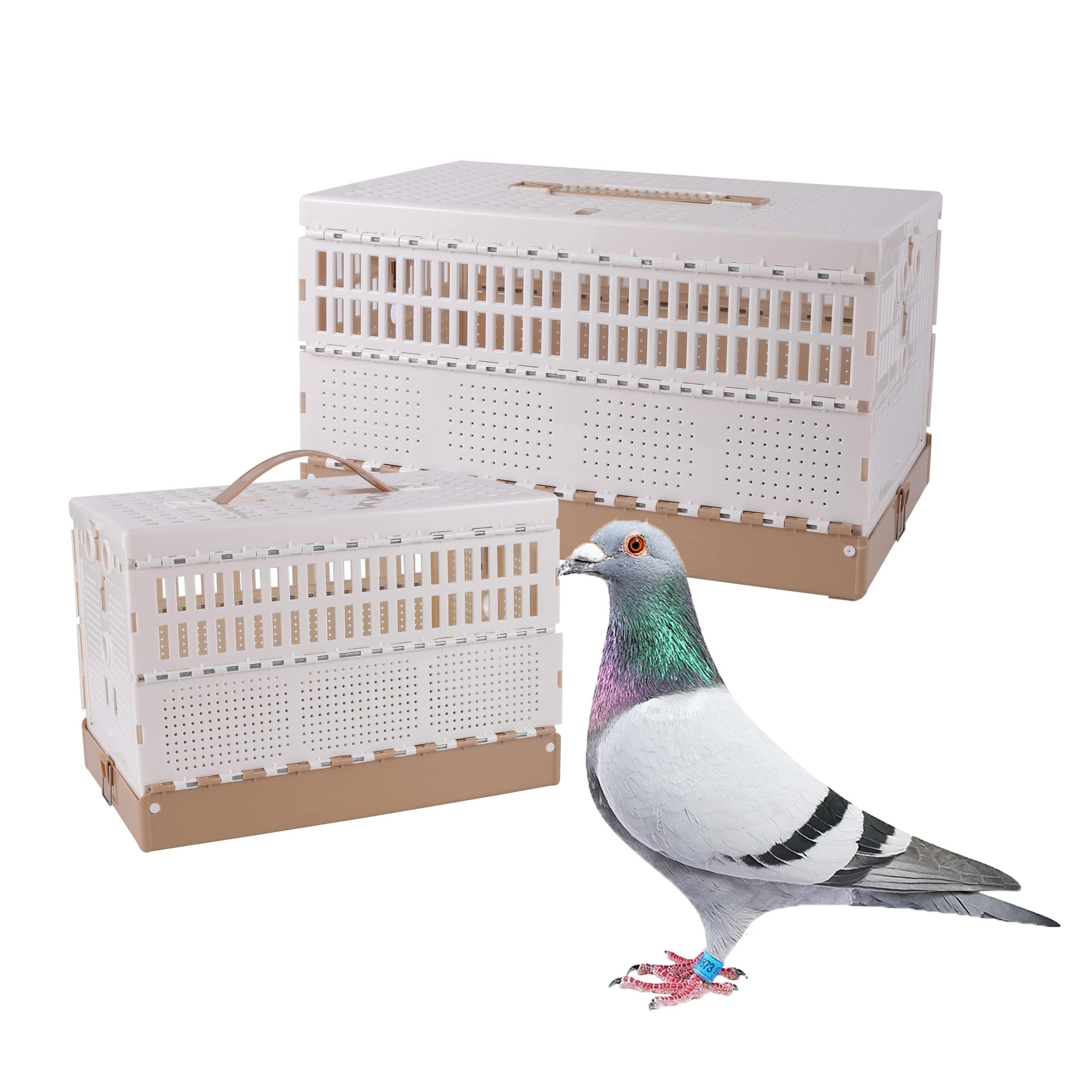 Plastic Folding Pigeon Cage, Portable Pet Bird Travel Carrier, Easy to Clean for Training and Release Competition (M) (Three doors)