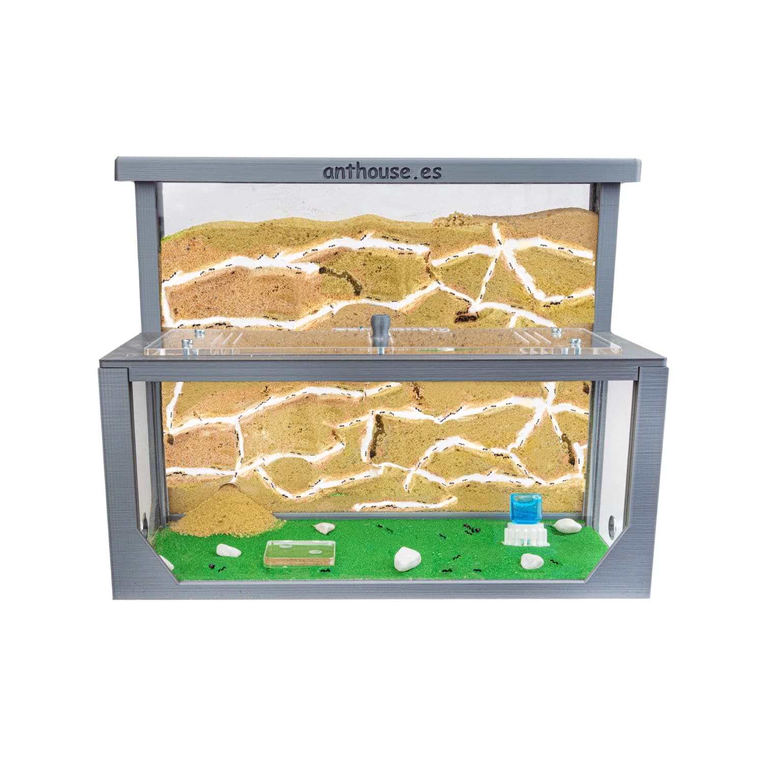 Natural Sand Ant Farm | Kit L (Sandwich + Forage Box) | 3D Ant Hill | Colour Grey