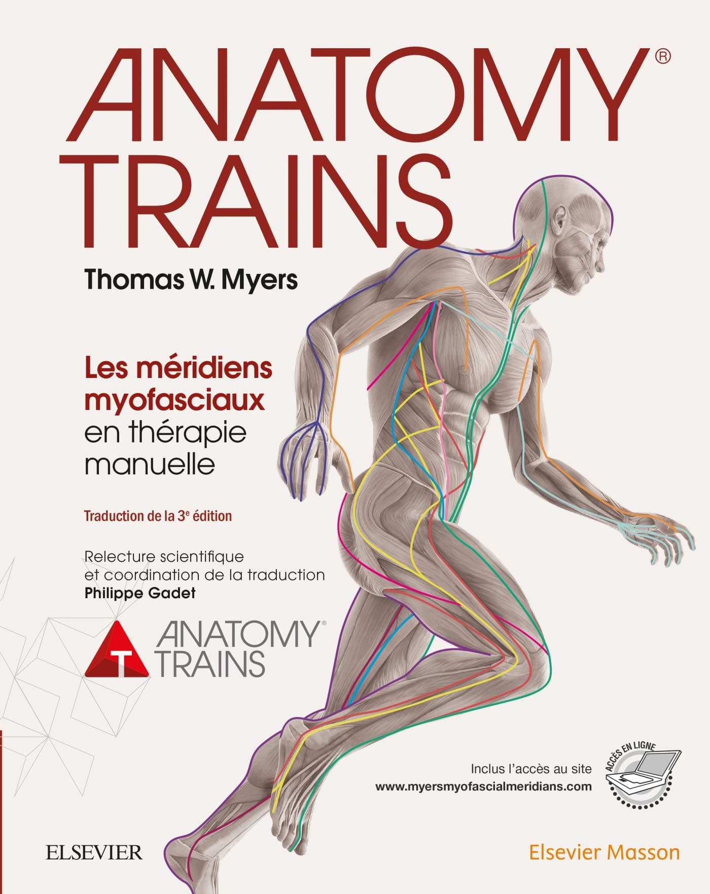 Anatomy Trains: Les Méridiens Myofasciaux En Thérapie Manuelle