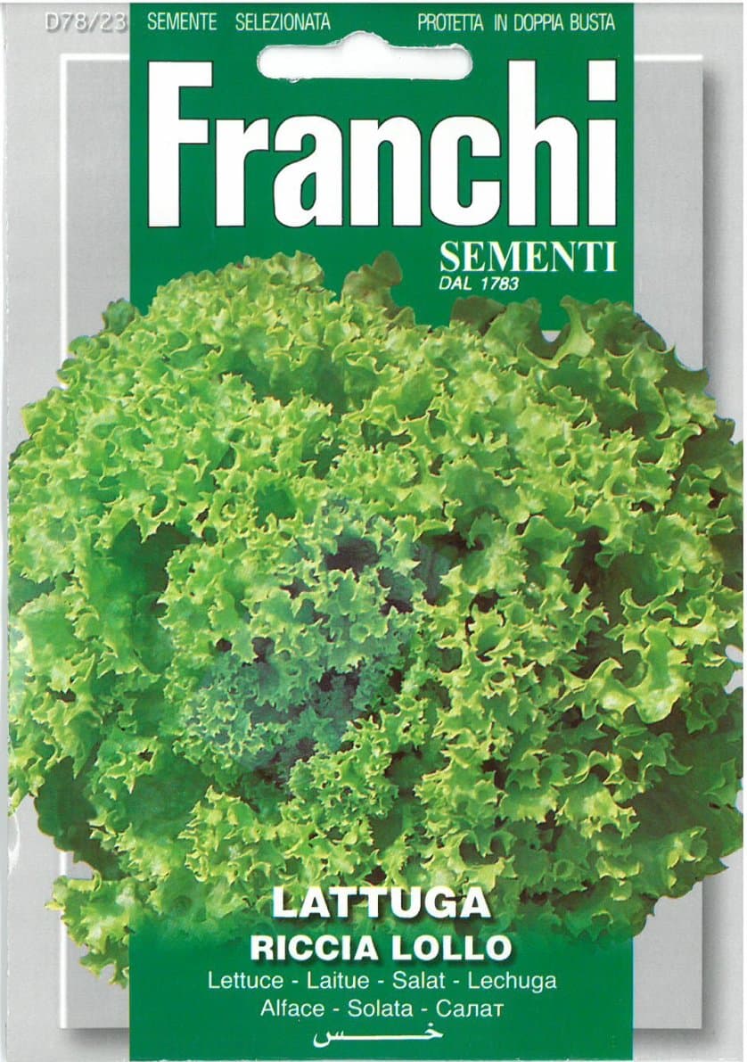 Franchi Lettuce - Lattuga riccia Lollo