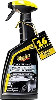 Official Ultimate Gloss Paint G230316 16 oz