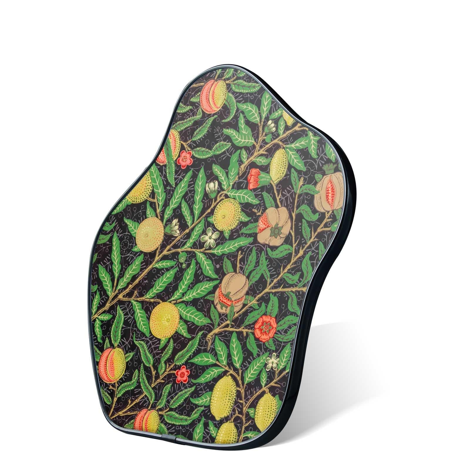 VIYYIEA Modern Desk Decor for Office, Small Tabletop Home Decor, Black Framed Vintage Botanical Art, Living Room Dining Beside Table Decor, Shelf Decor Aesthetic, 8x10 inch