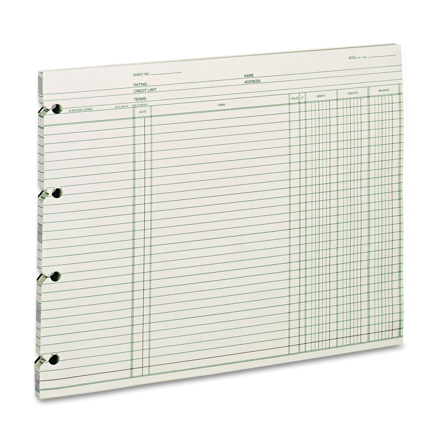 Ledger Paper, Balance Ledger, 9-1/4" x 11-7/8", Green, 100 Sheets (GN2D)
