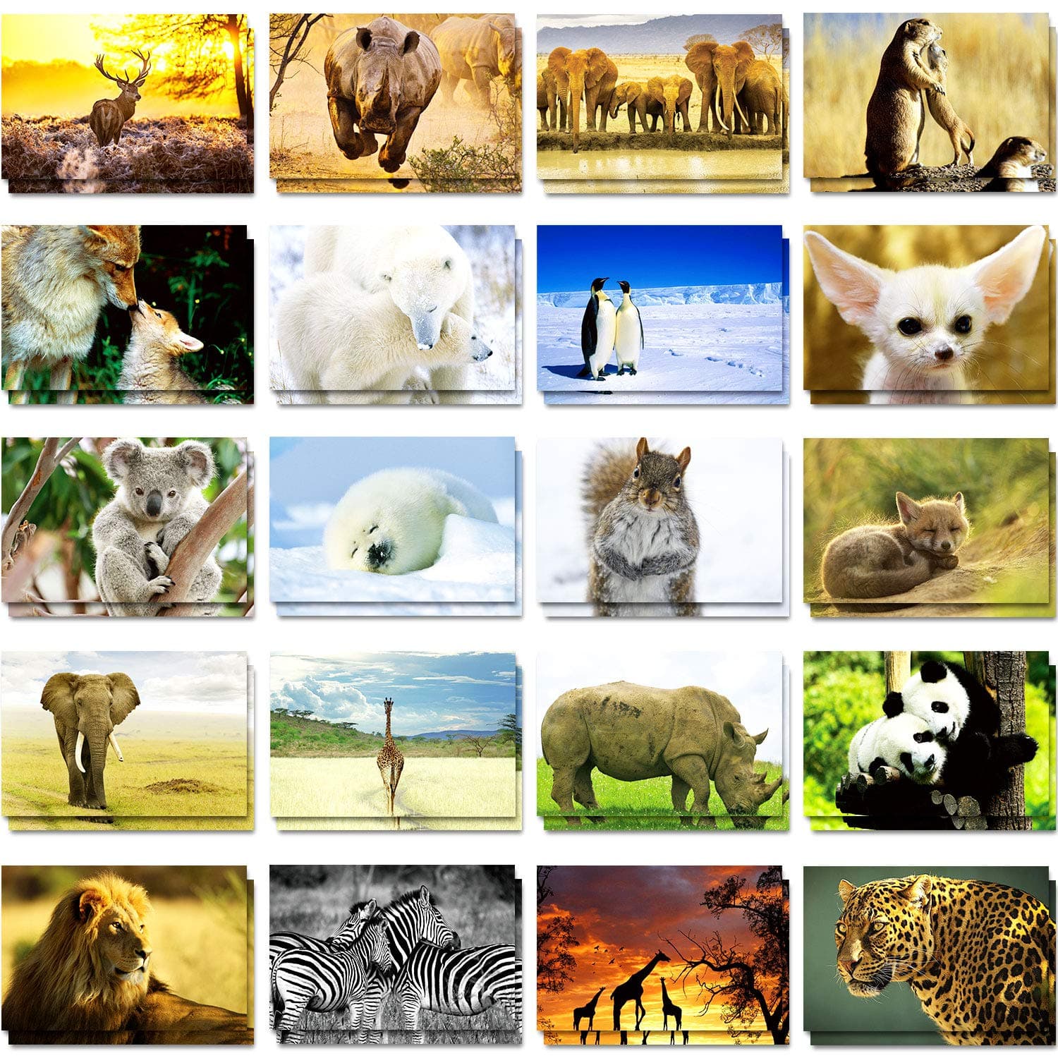Outus 60 Pieces Wild Animal Blank Postcards for Mailing Pandas Lions Polar Bears Penguins Elephants Giraffes Cards Greeting Welcome Postcards for Kids Teachers, 4 x 6 Inches, 20 Styles