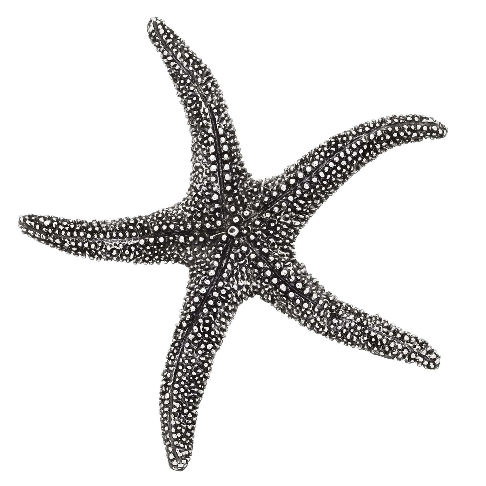 Giovanni Raspini B456 Magnet White Bronze Starfish Diameter 7.5 cm