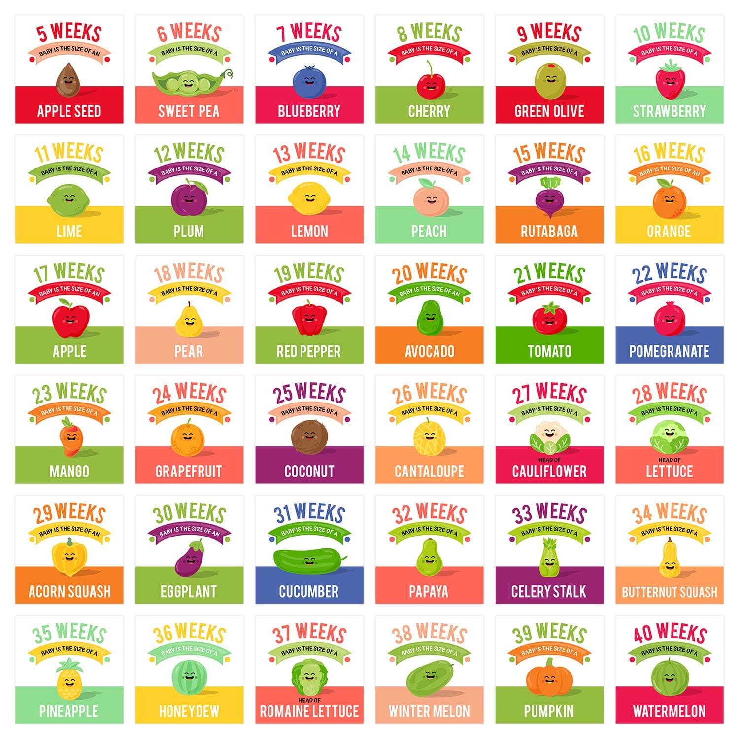 Canopy Street Maternity Weekly Milestone Photo Props / 18 Card Set Of 36 Baby Growth Designs / 9" x 9" Modern Pregnancy Keepsake/Adorable Photography As You Grow Signs