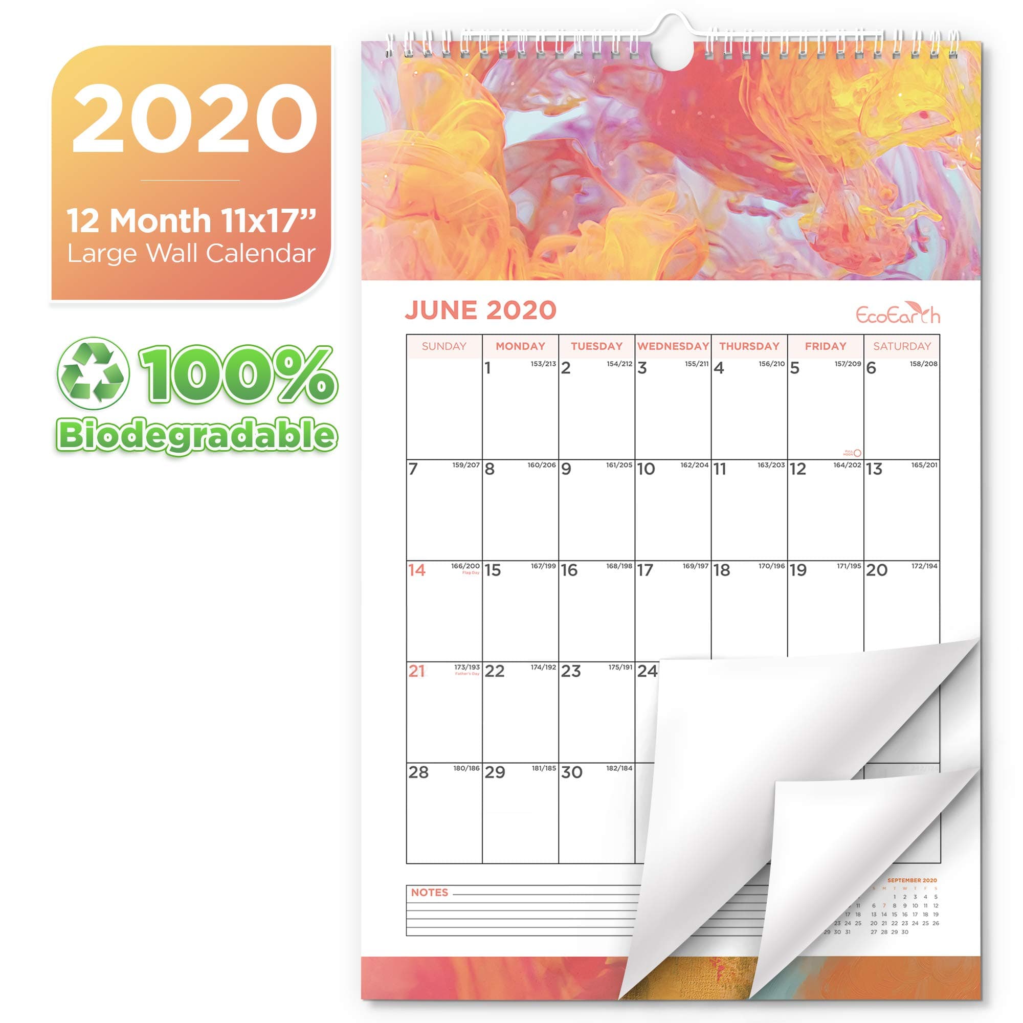 EcoEarth Biodegradable 11x17 Inch Vertical Hanging Wall Calendar, 2020 Calendar Year Monthly Calendar, Chroma Art Design