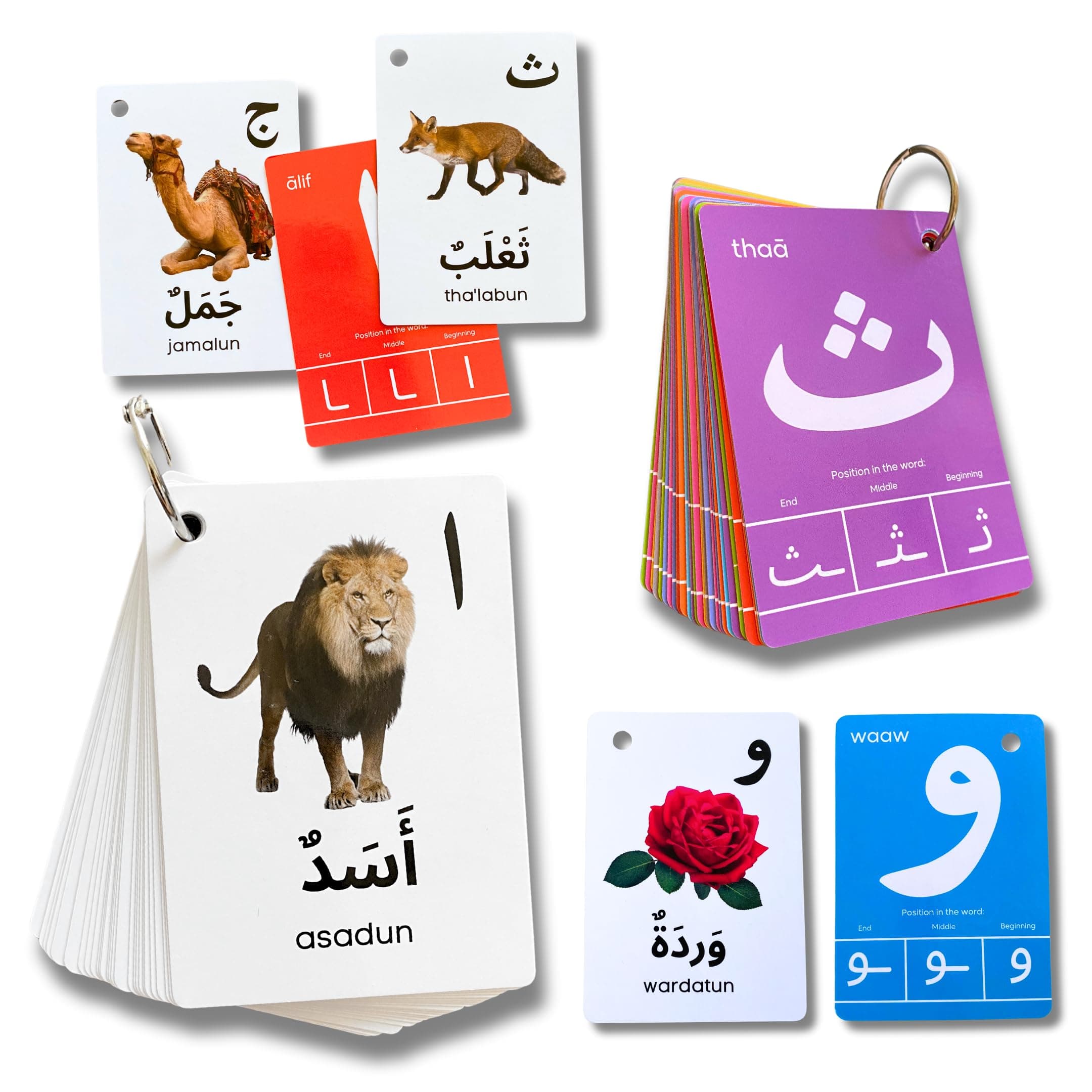 Arabic Alphabet Flash Cards, Alif Baa Alphabets, Arabic First Words, Letter Recognition, Positions, Arabic Teacher