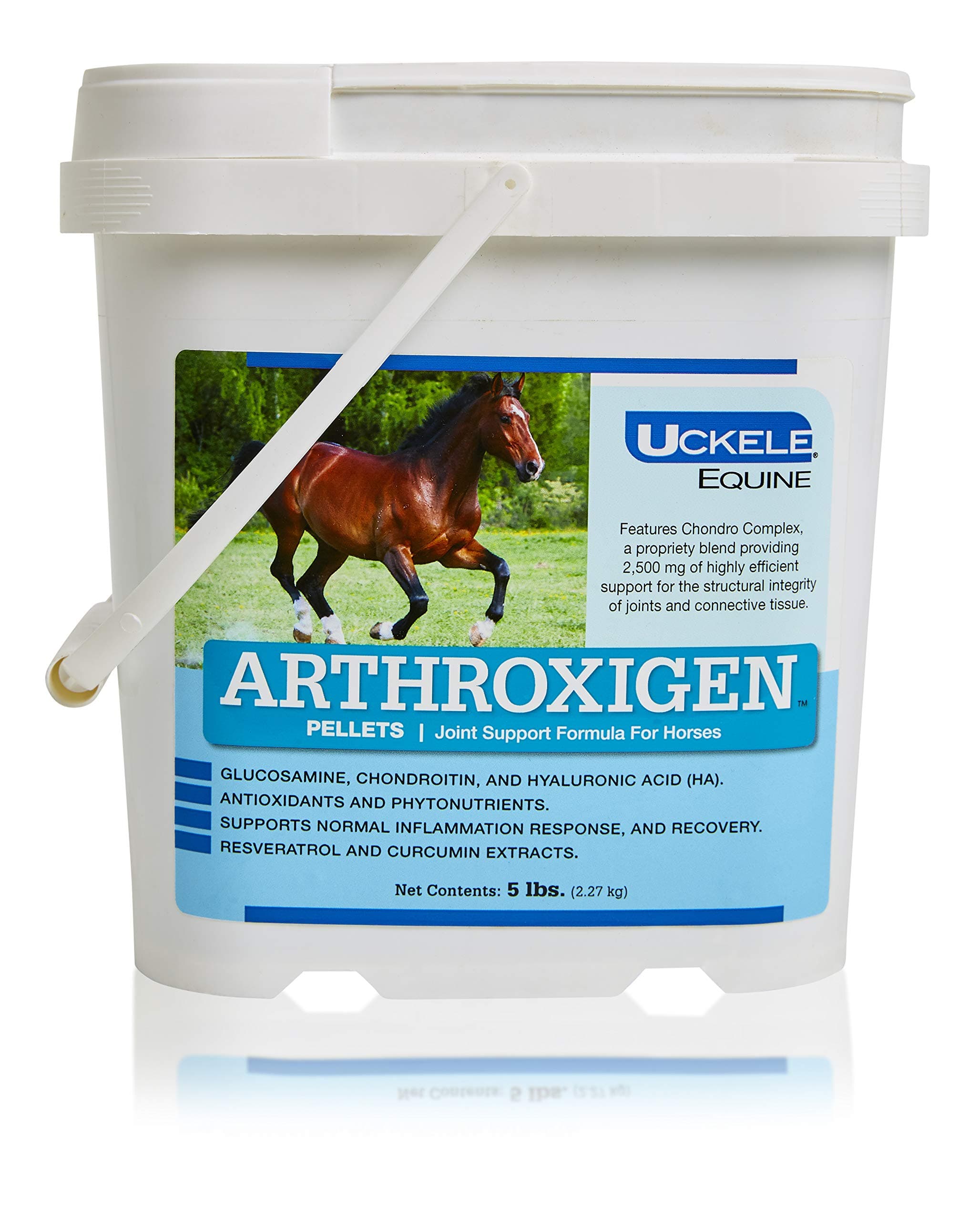 Uckele Arthroxigen Pellets - Joint Supplement Formula for Horses - Eqiune Vitamin & Mineral Supplement - Competition Ready - 5 Pound (lb)