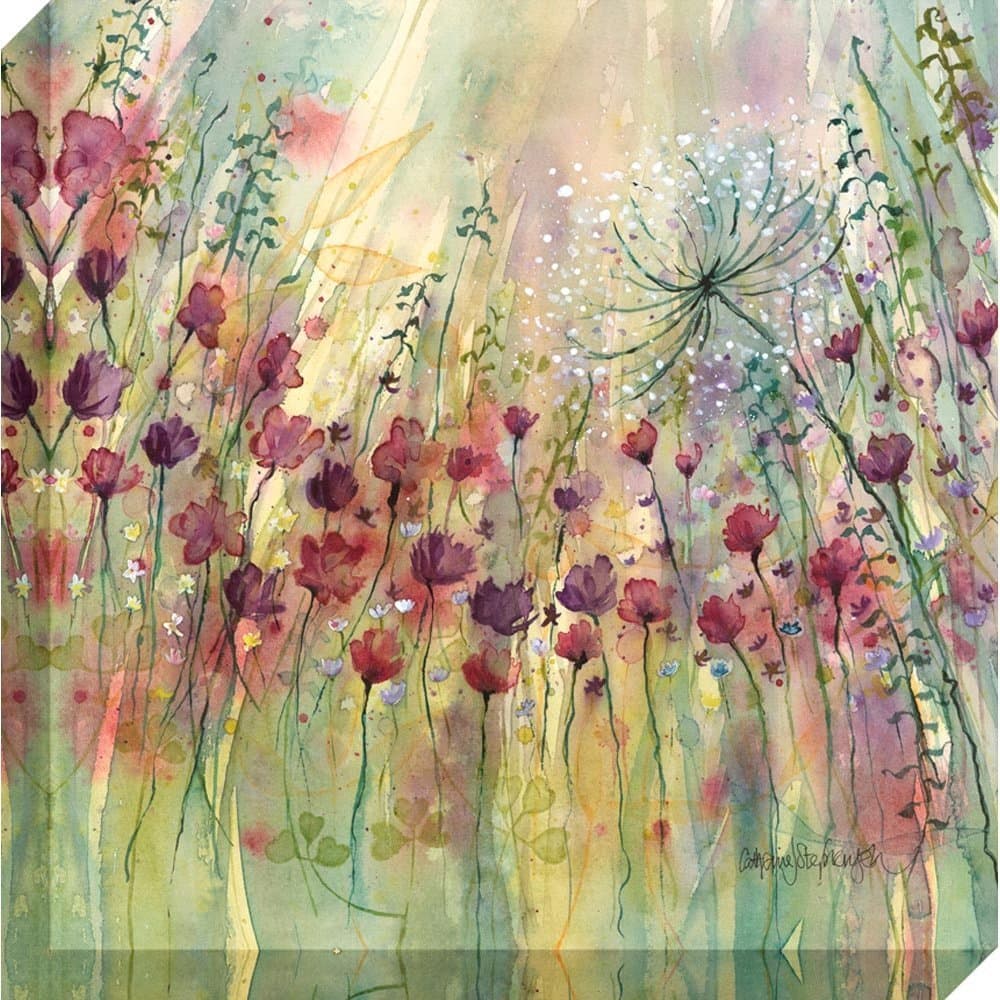 Spring Floral Pods I Print on Canvas by Catherine Stephenson