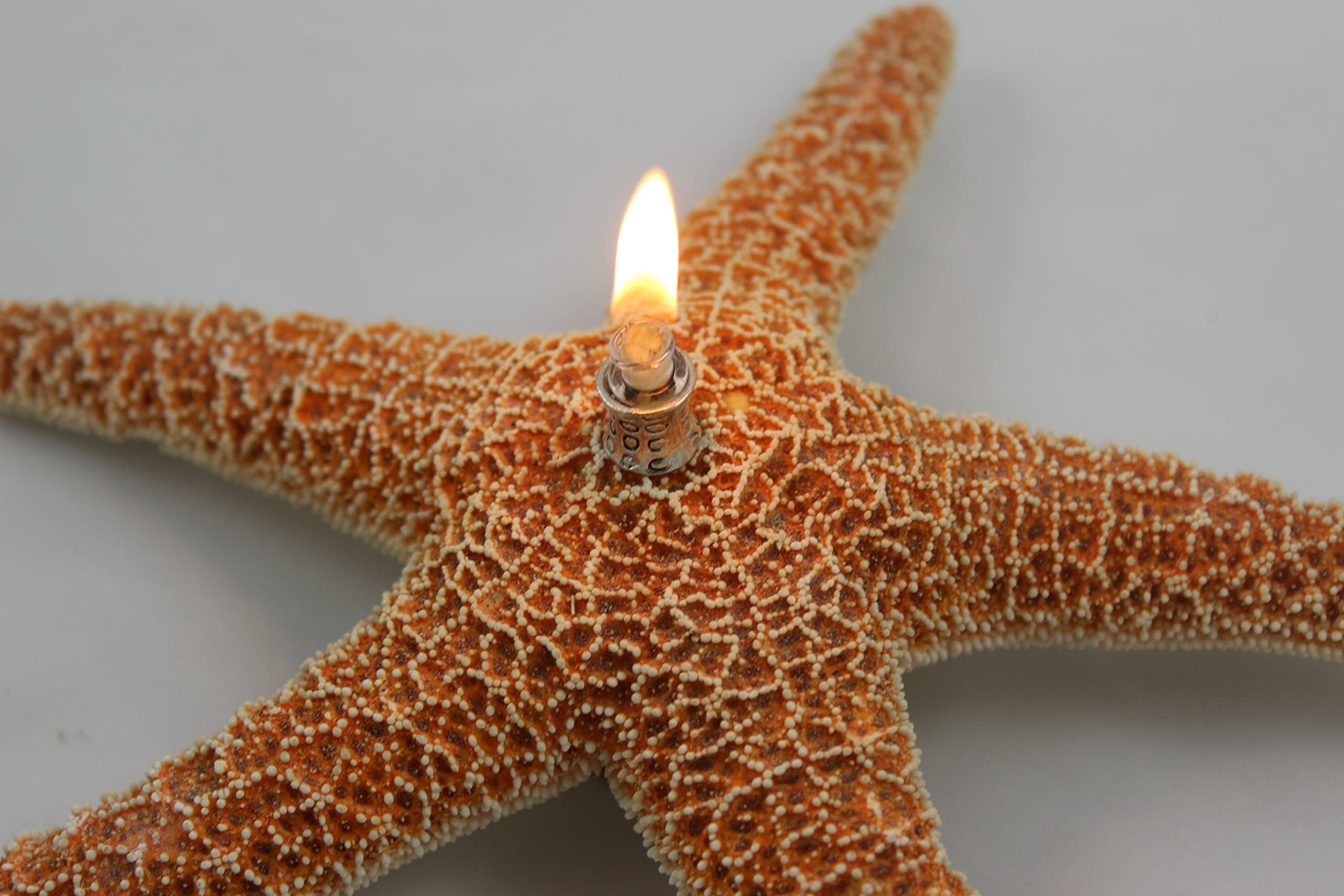 Starfish Candles - Unique Natural Oil Lamps for Indoor & Outdoor Decorative Lighting and Home Decor