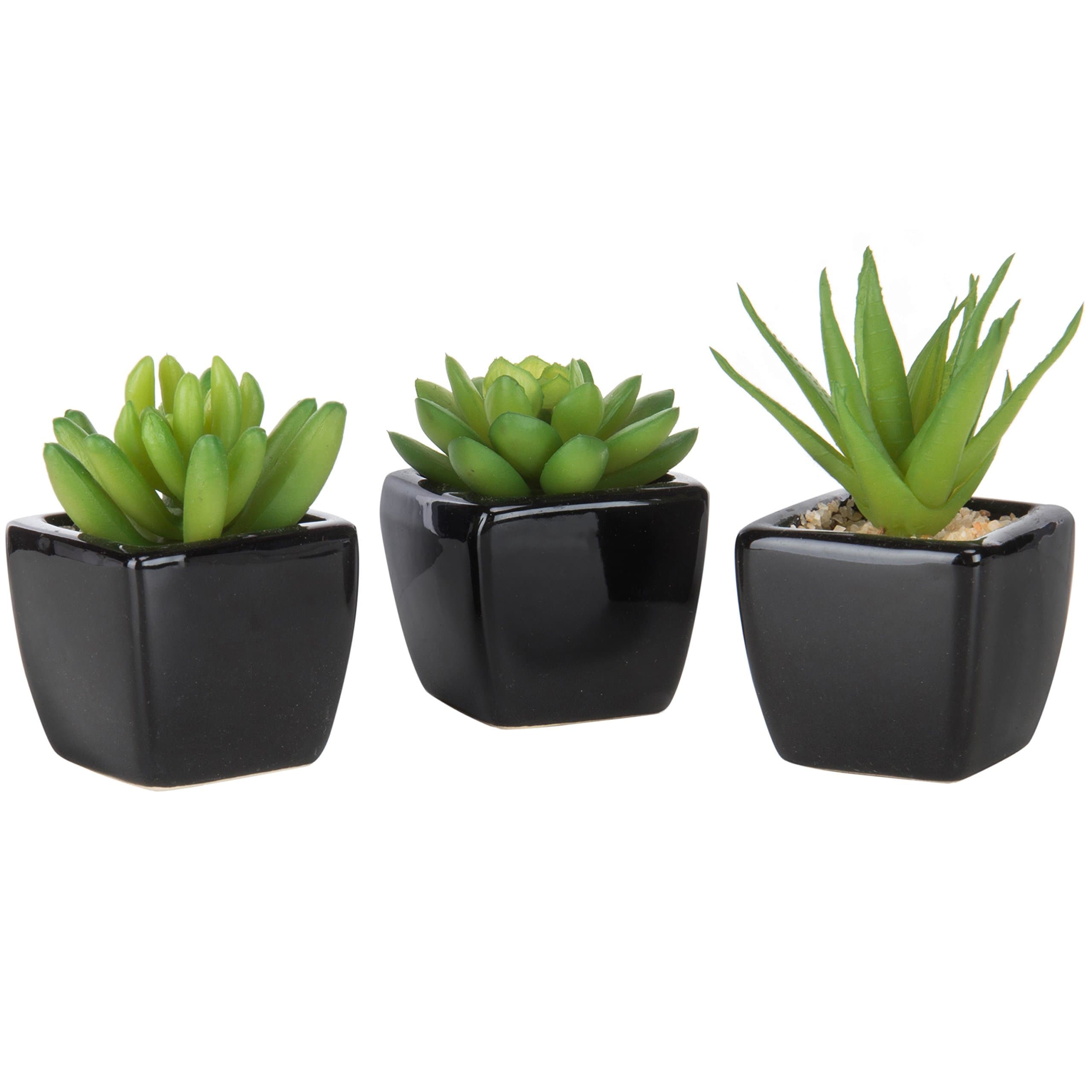MyGift Set of 3 Faux Succulents in Mini Square Pots - Modern Home Decor Succulent Artificial Plants with Black Ceramic Planter Pot