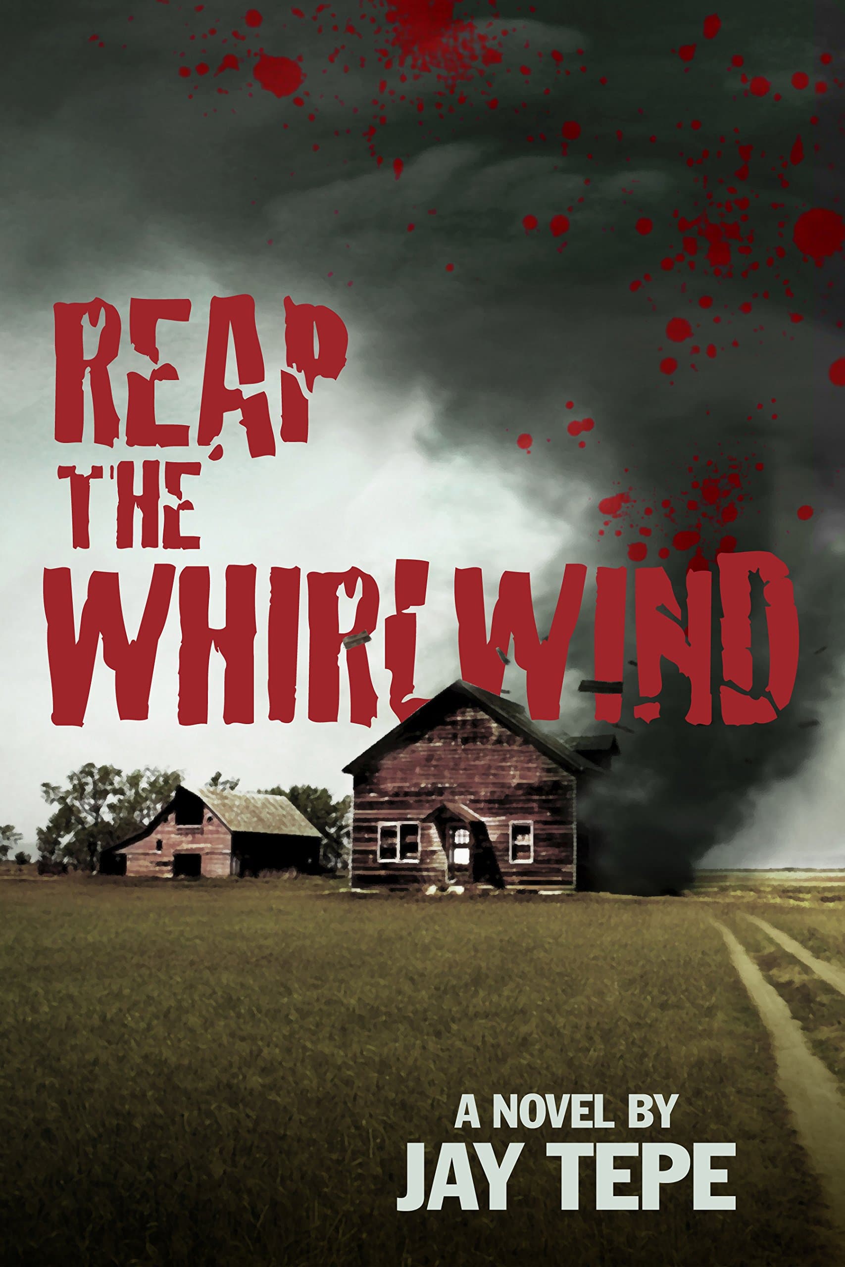 Reap the Whirlwind (The Frank Hollander Mysteries Book 2)