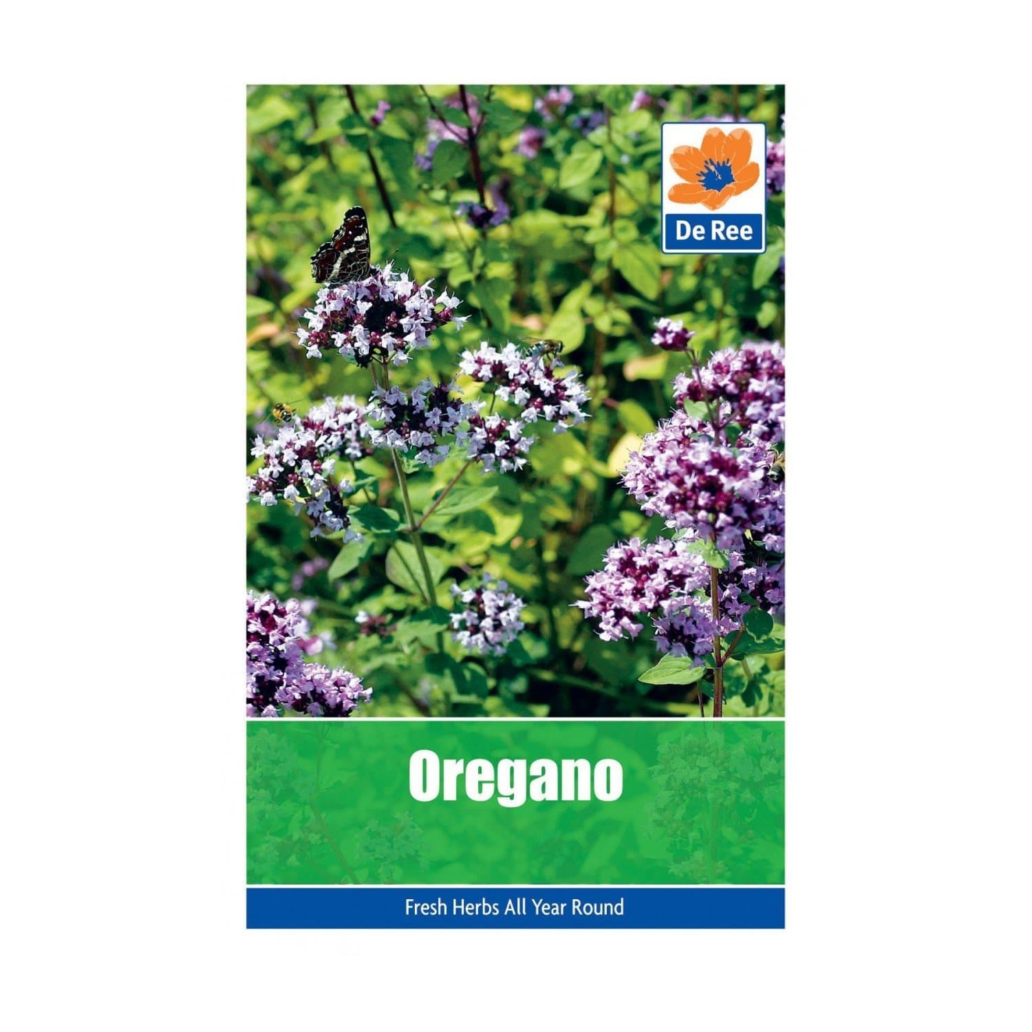 Oregano Seeds