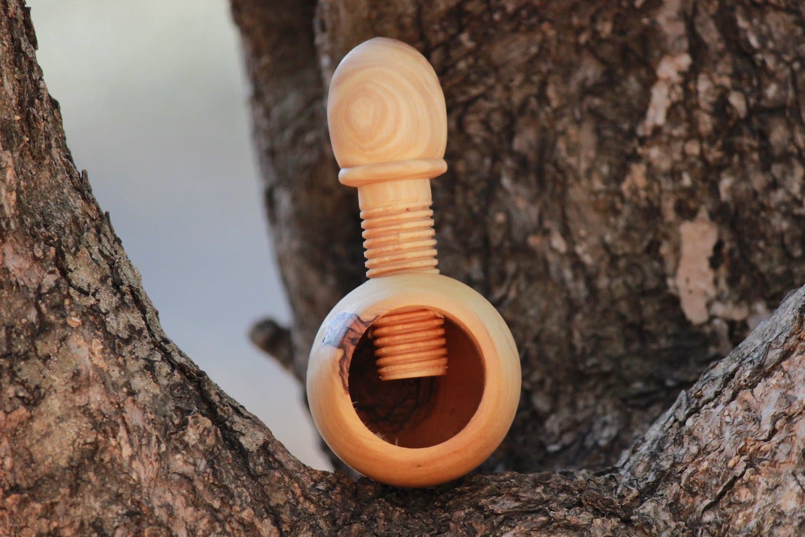 Aelia Olive Wood Nutcracker Walnut Cracker Mess Free Handcrafted in Jerusalem