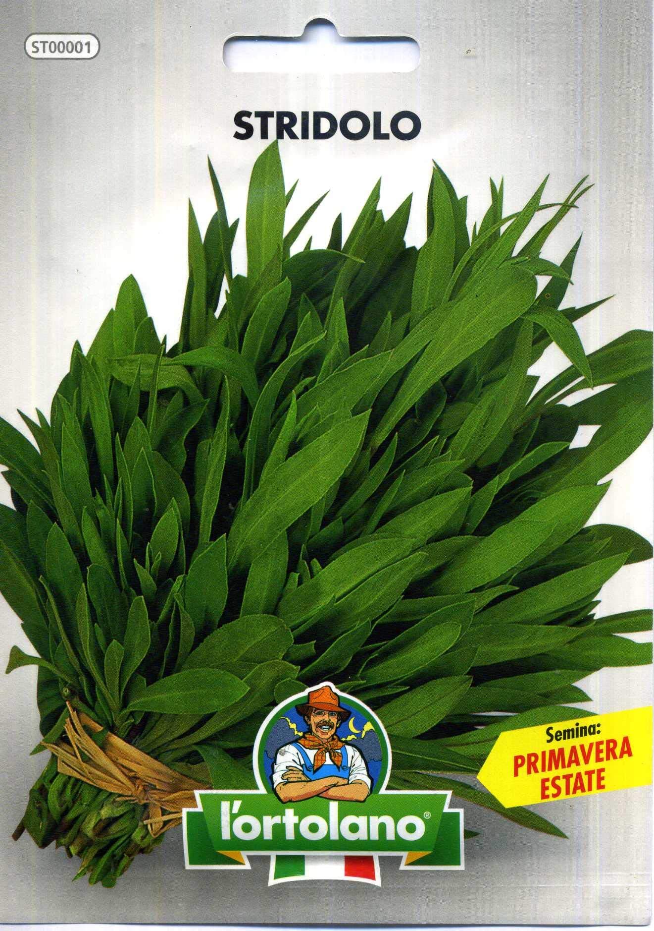 Semi Di Stridoli (Silene Inflata) In Bustina