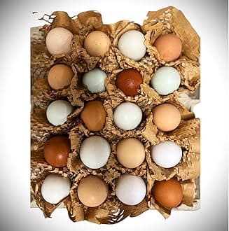 Free to Range Hen Eggs (6)