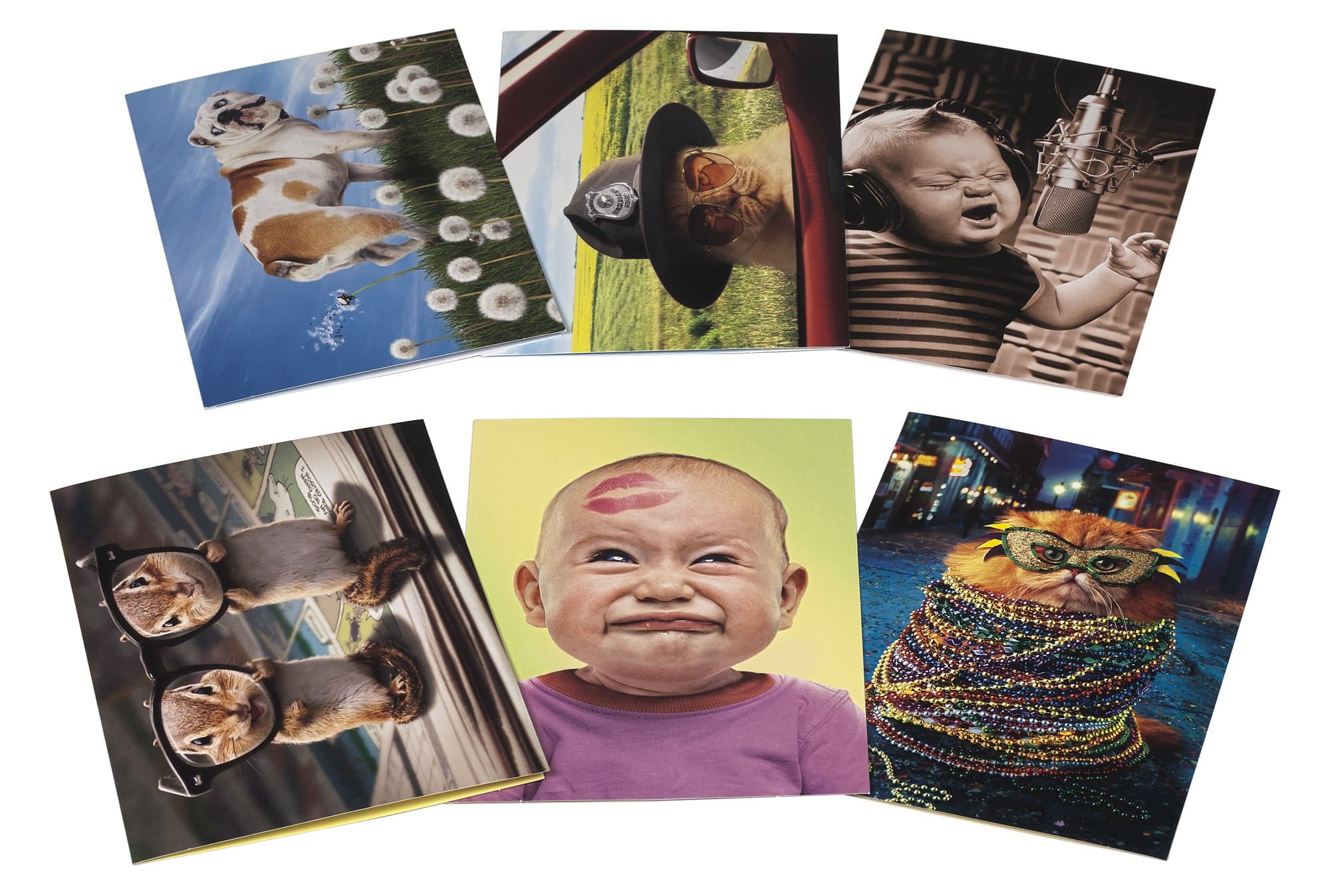 Avanti Birthday Card Collection, It's Your Birthday, 12-Count (200069)