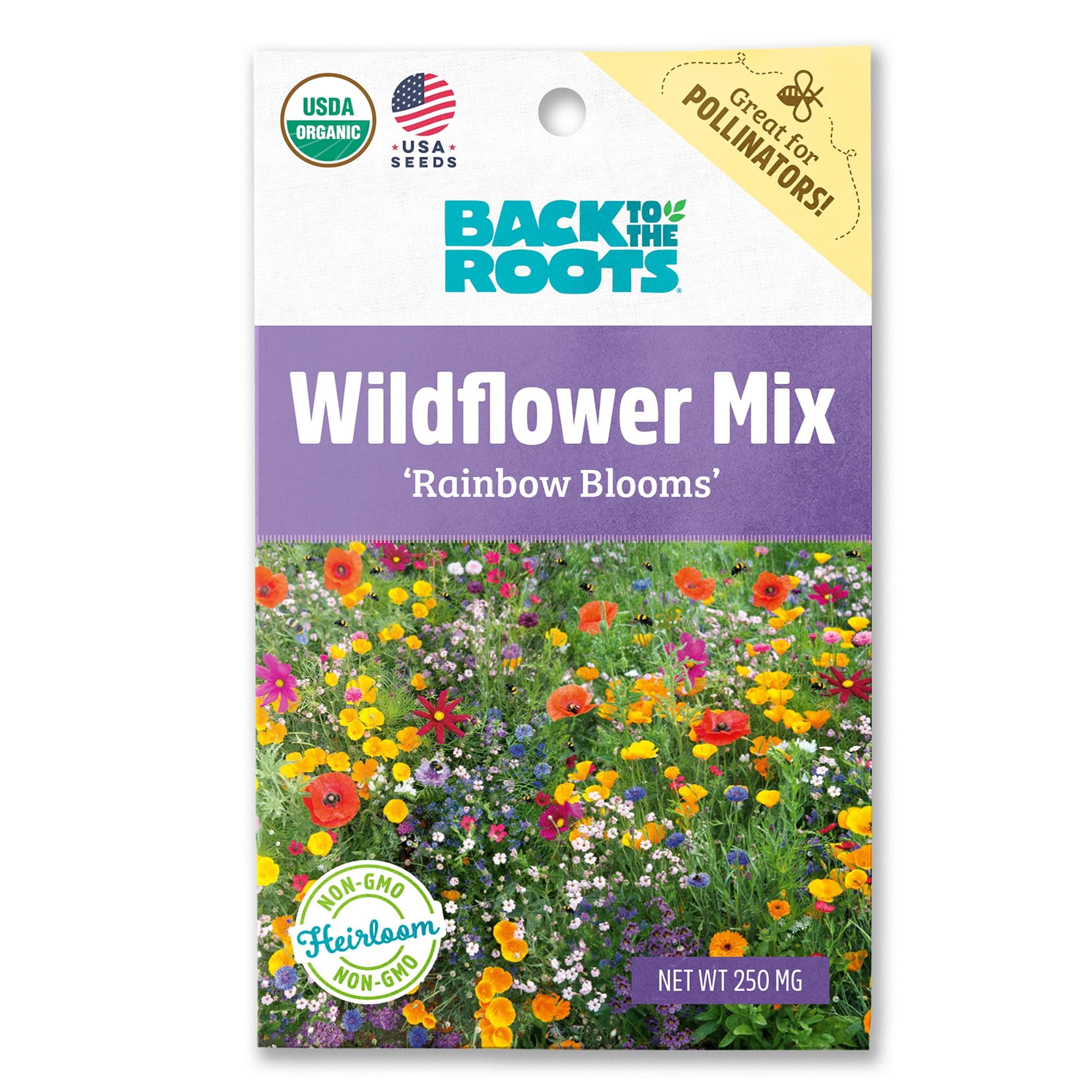 Back to The Roots 100% Organic Seed Packet - Wildflower 'Rainbow Blooms' Mix