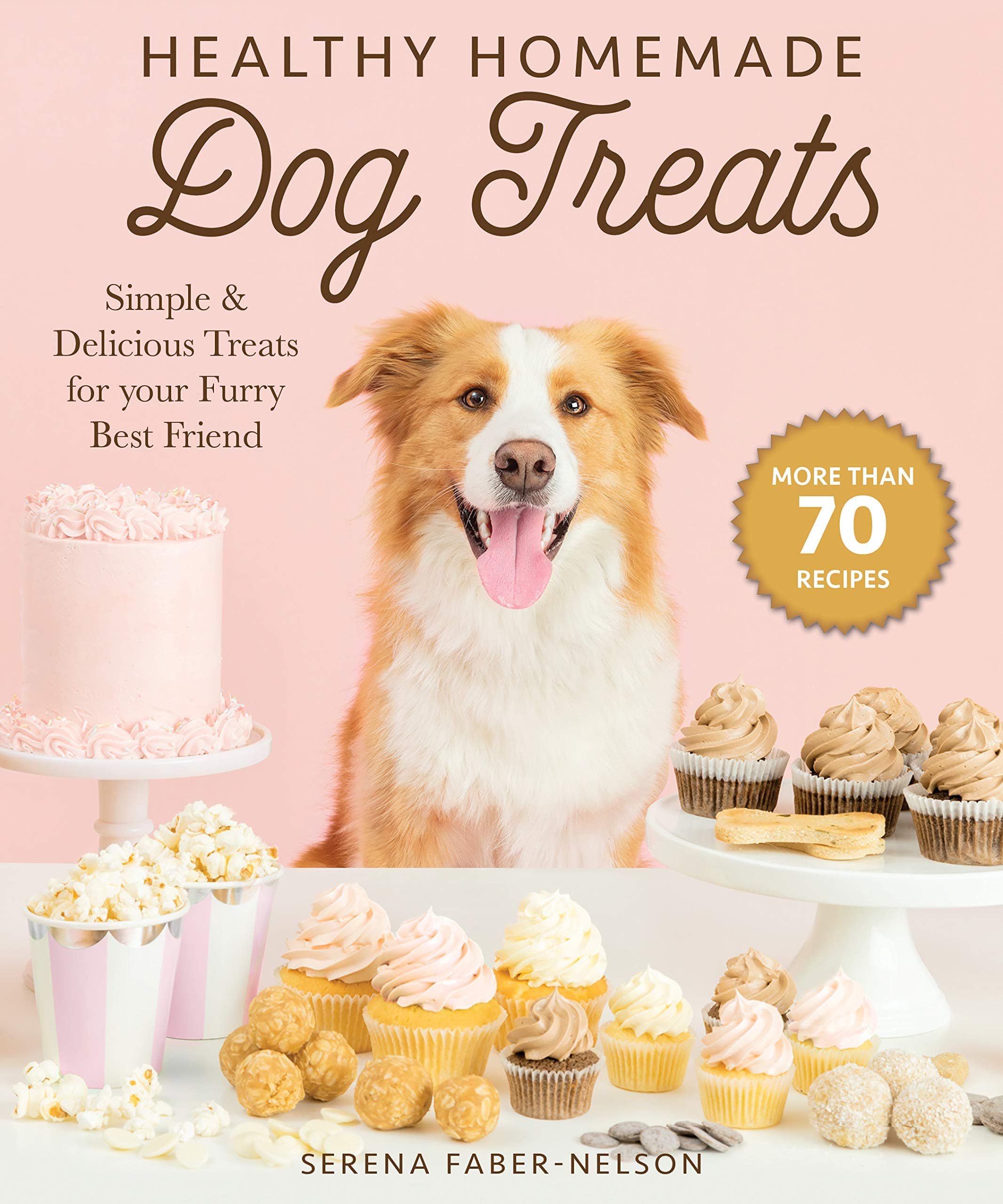 Healthy Homemade Dog Treats: More Than 70 Simple & Delicious Treats for Your Furry Best Friend