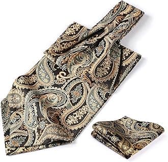HISDERN Ascot Ties for Men Paisley Cravat Tie and Pocket Square Set Floral Mens Ascot Scarf Handkerchief Wedding Party