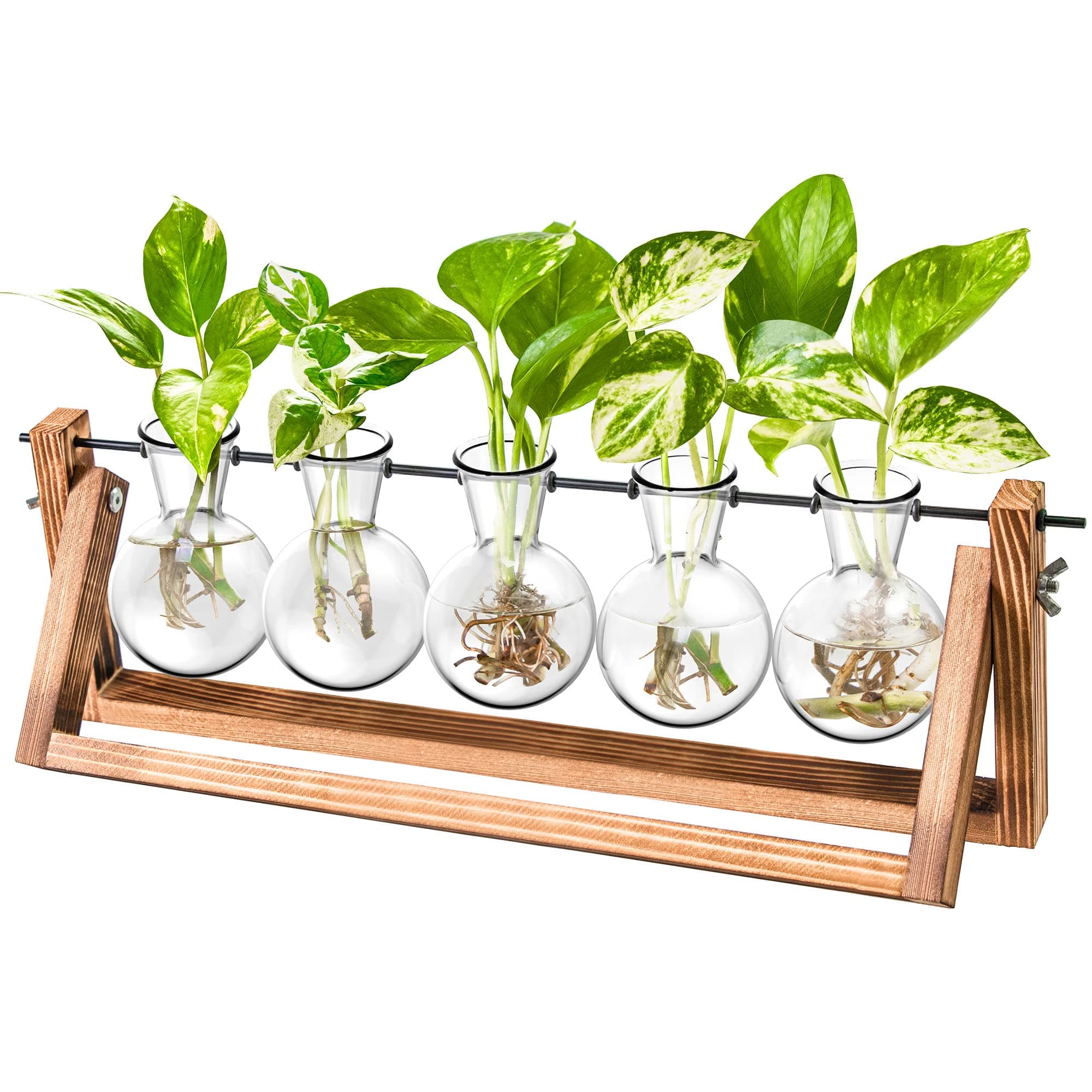 Ivolador Desktop Glass Planter Bulb Vase with Retro Solid Wooden Stand and Metal Swivel Holder for Hydroponics Plants Home Garden Wedding Decor(2 Bulb Vase)