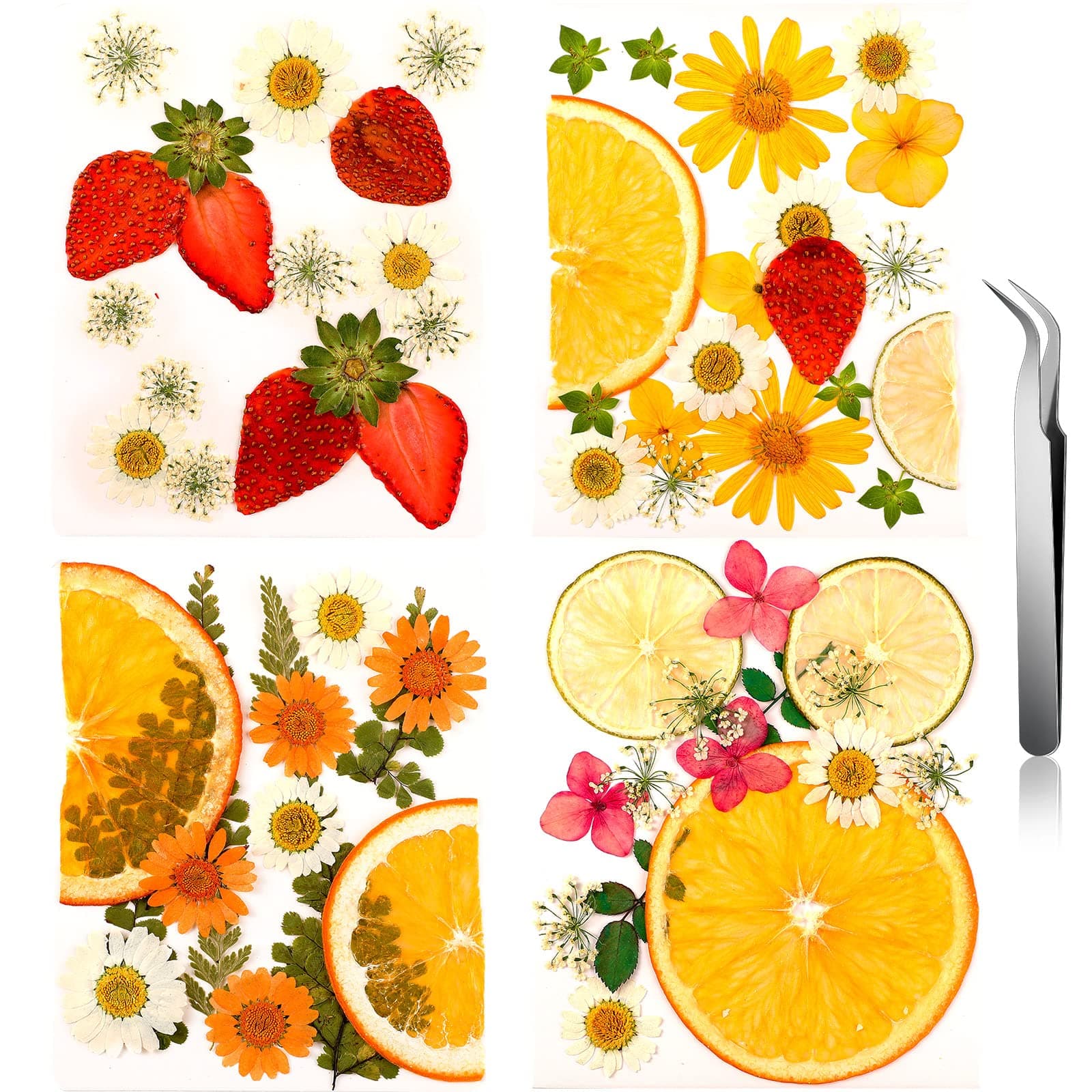 65 Pcs Real Natural Dried Pressed Flowers Fruit with Box and Curved Tweezers Real Dried Flower Leaves for Scrapbooking DIY Art Crafts, Epoxy Jewelry, Candle, Soap Making, Nails Decor (65 Pcs, Fresh)