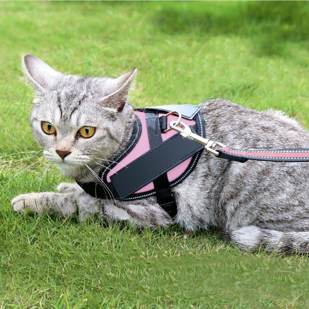Cat Harness, No Pull Padded Vest for Pet, Adjustable and Reflective Design,Nylon Material Great Fit for Exotic,Ragdoll,British Shorthair,Persian,Maine Coon Cat, Large Size(Not Include Leash) …