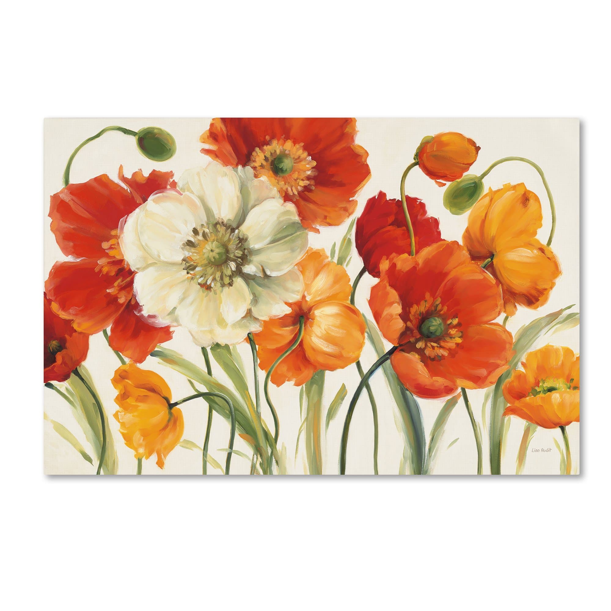 Wrapped Canvas Wall Art - Lisa Audit 'Poppies Melody I' Wall Art for Living Room, Bedroom, or Office Décor - 16x24
