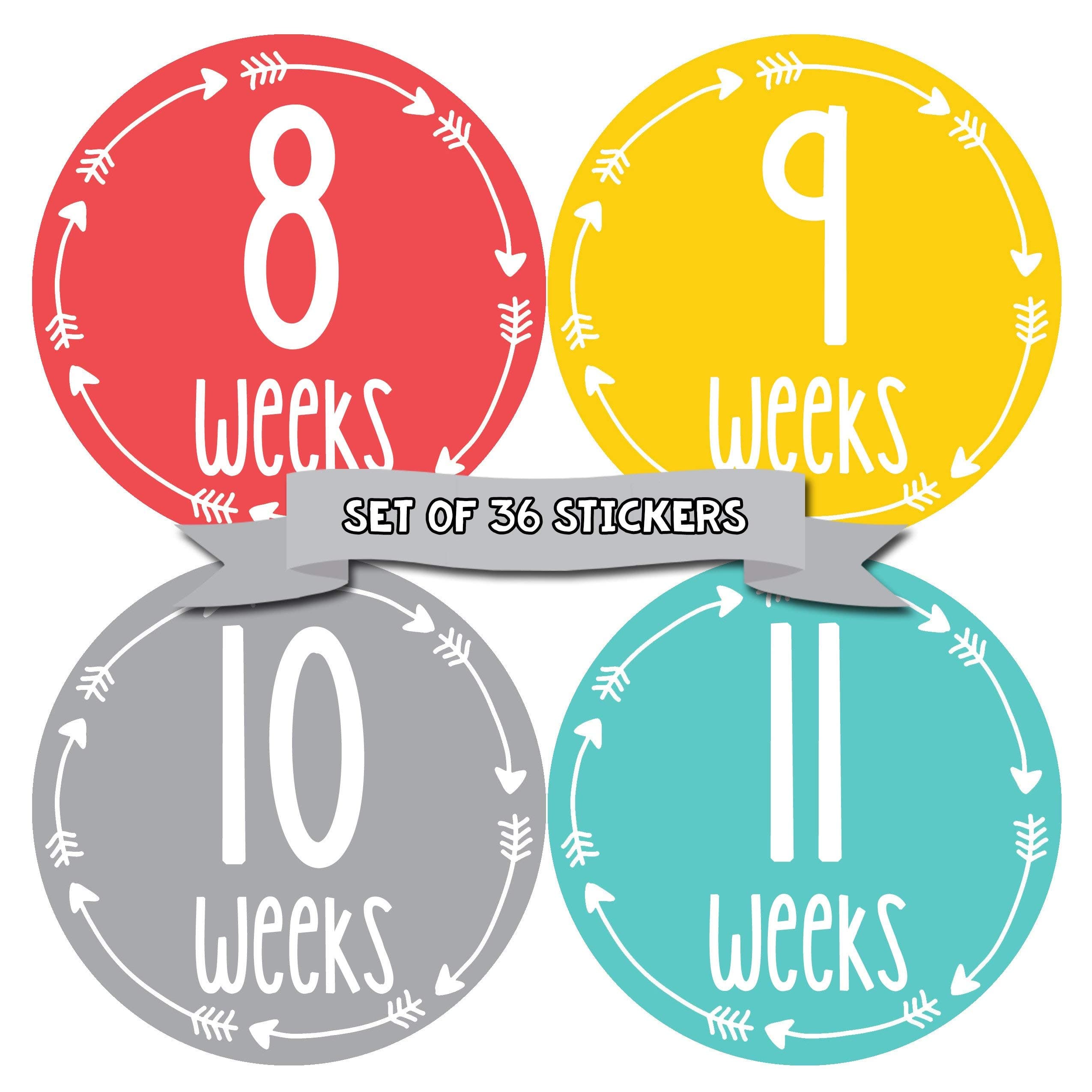 Pregnancy Weekly Belly Growth Stickers - Week to Week Pregnant Expecting Photo Prop - Maternity Keepsake - Baby Bump - Large Set of 36 Weekly Photo Sticker