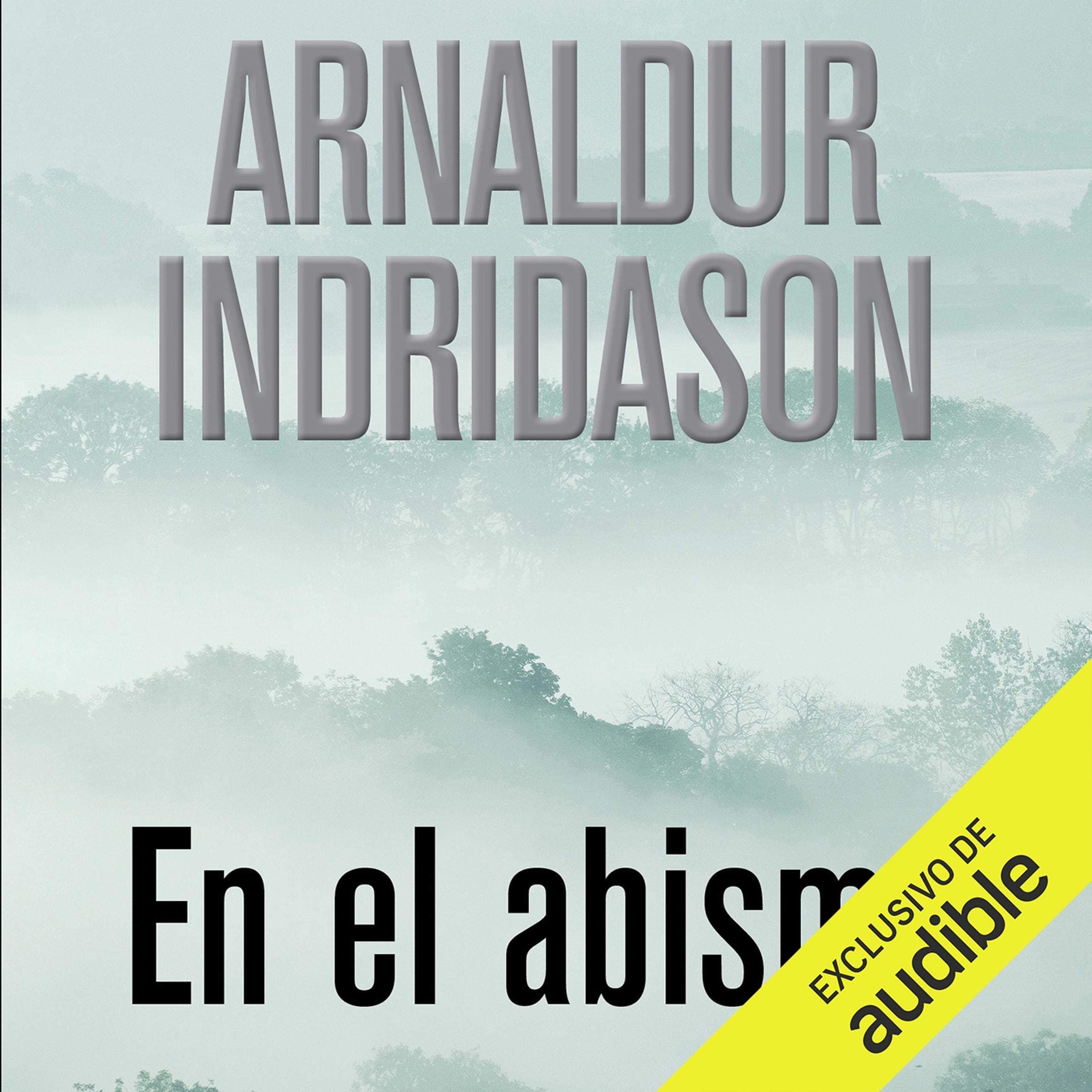En El Abismo (Narración en Castellano) [In the Abyss]: Erlendur Sveinsson, Libro 10