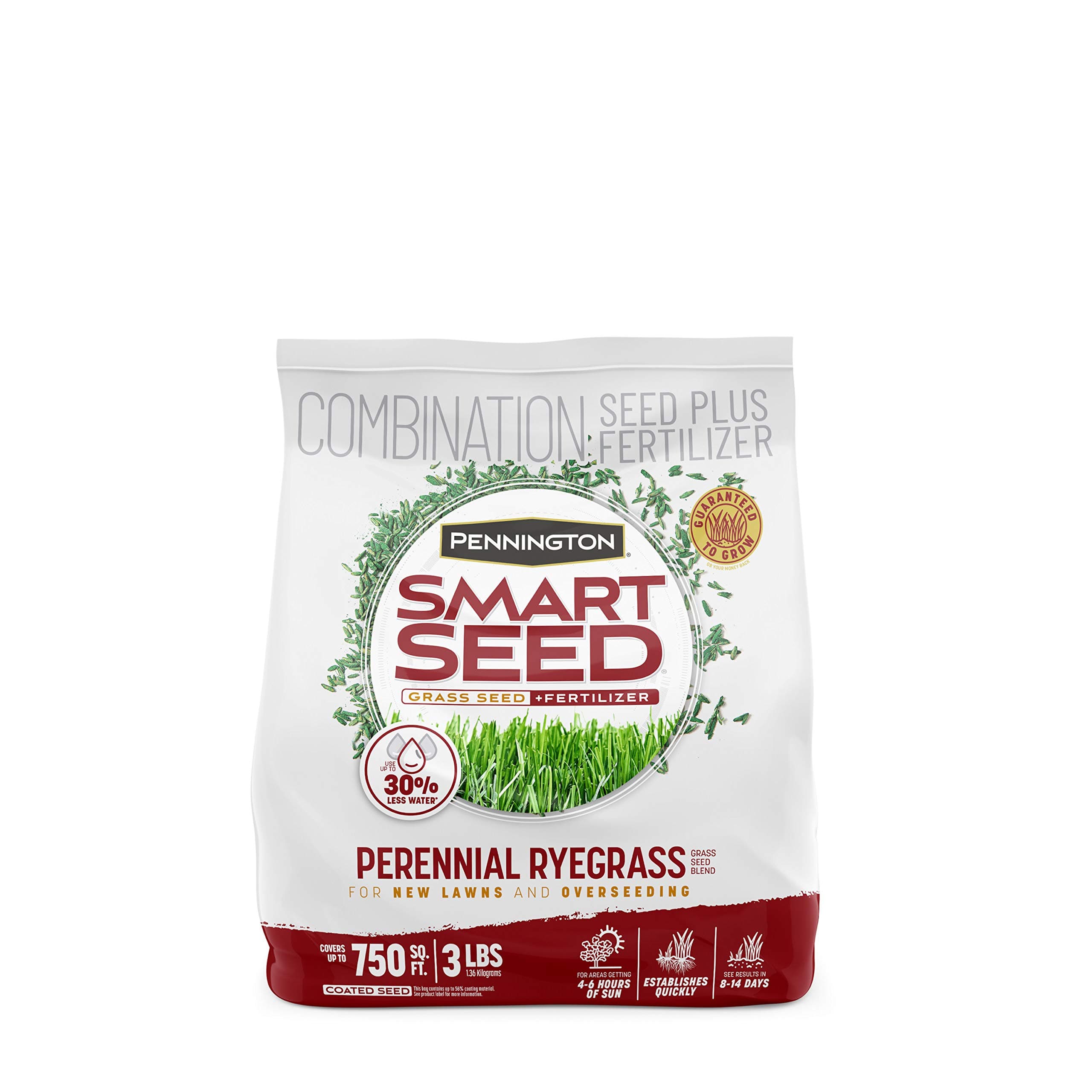 Pennington 100543717 Smart Seed Perennial Ryegrass 3 lb, Black Label