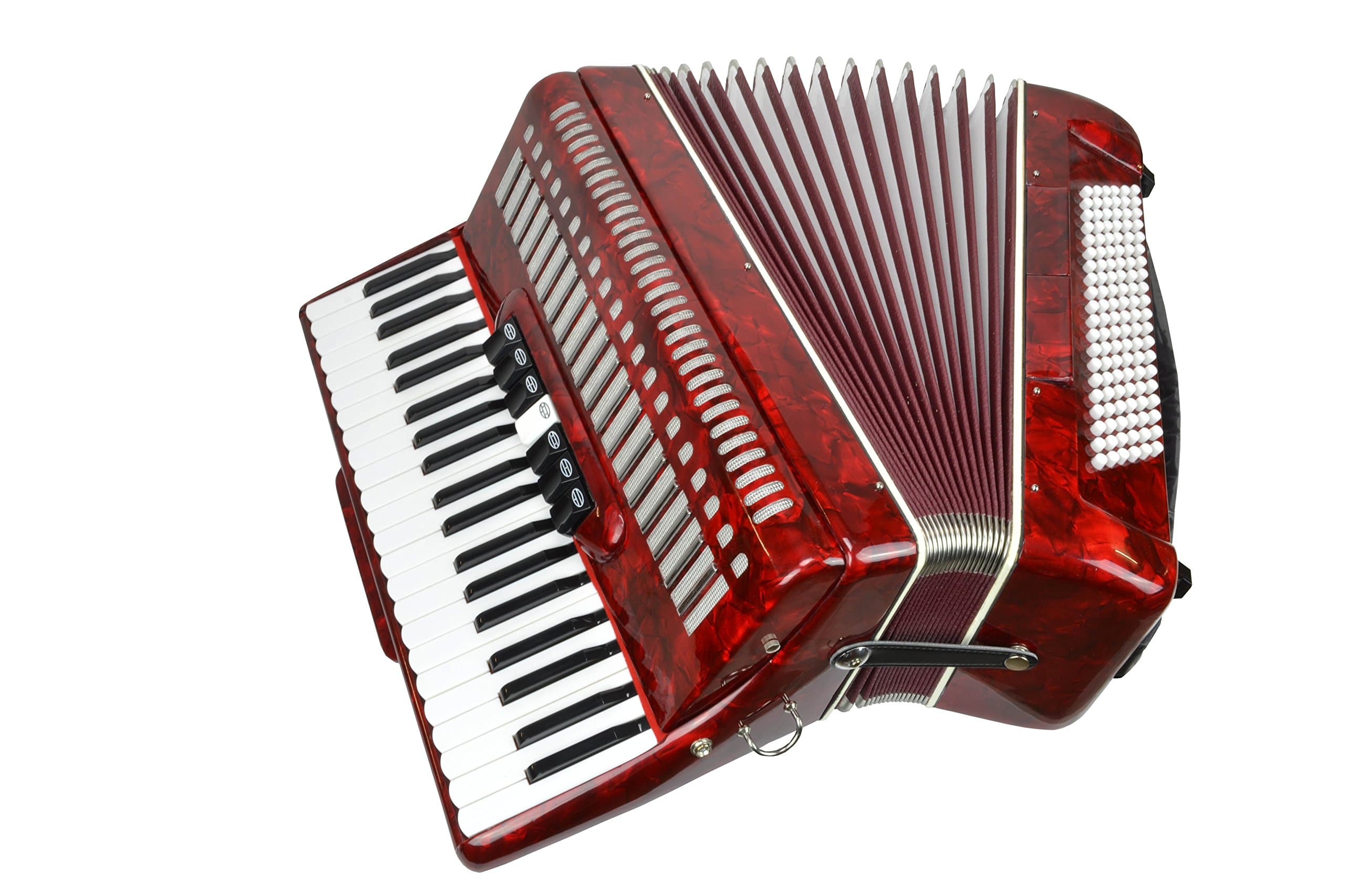 Sotendo Accordion 120 Bass Keys - 41 Treble Keys - with Straps and Case
