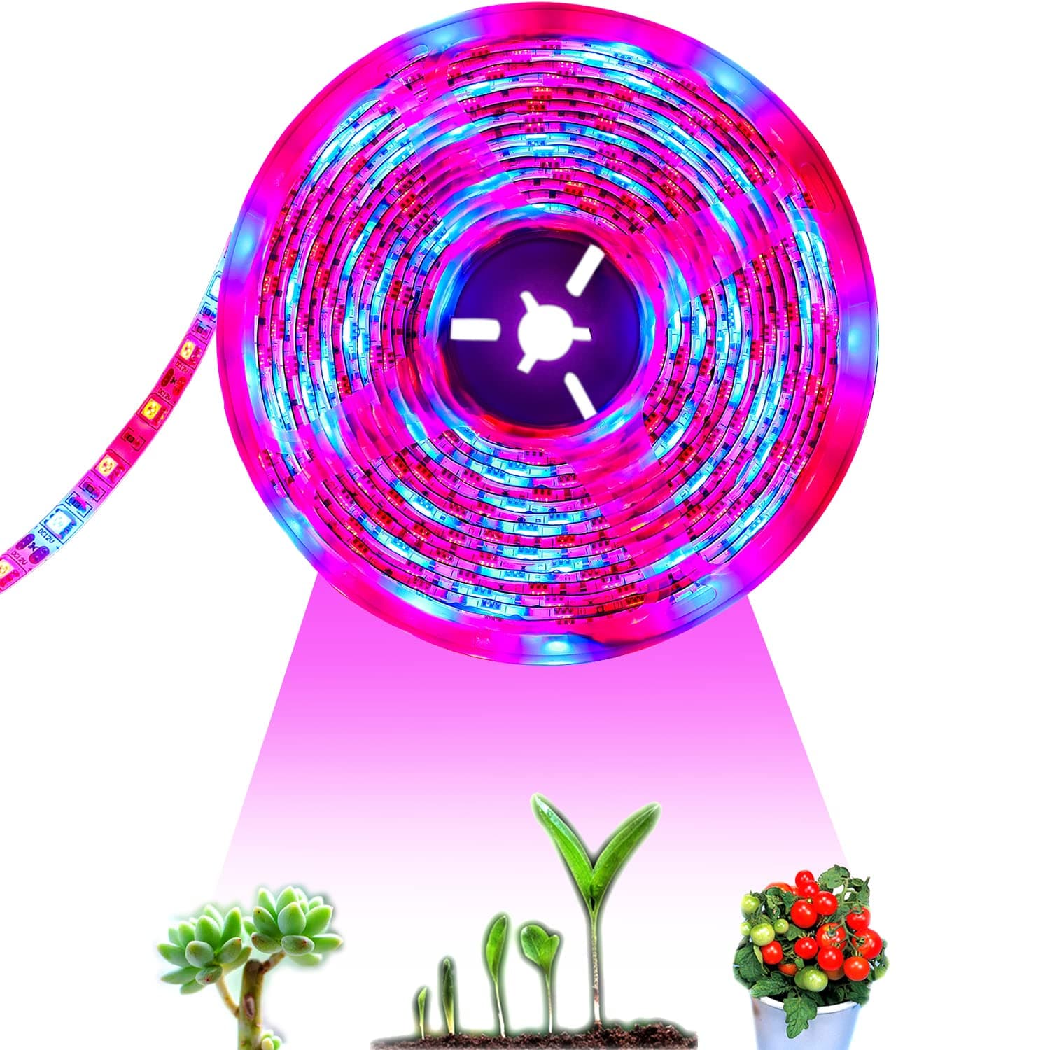 LED Plant Grow Strip Light IP65 Waterproof Full Spectrum SMD 5050 Red Blue 3:1 Rope Light DC 12V for Aquarium Greenhouse Hydroponic Plant
