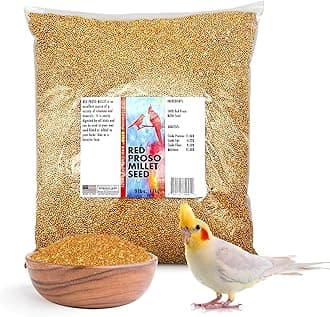 Morning Bird Red Proso Millet 9 lbs – Natural Bird Seed – Supports Feather Growth & Balanced Nutrition – Great Flavor, Energy Dense - Ideal for Finches, Parakeets & Pet Birds