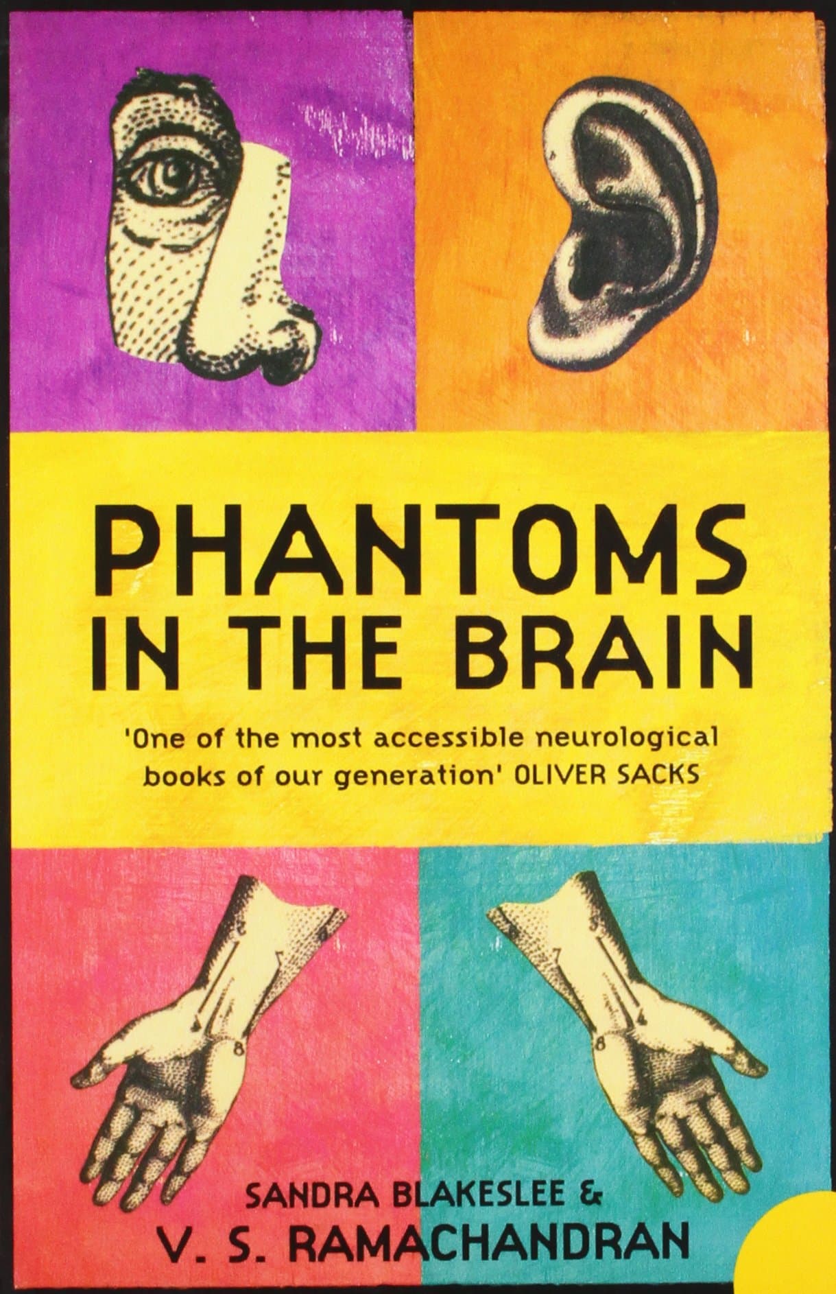 Phantoms in the Brain: Human Nature and the Architecture of the Mind [Paperback] [Nov 01, 2006] V.S. Ramachandran