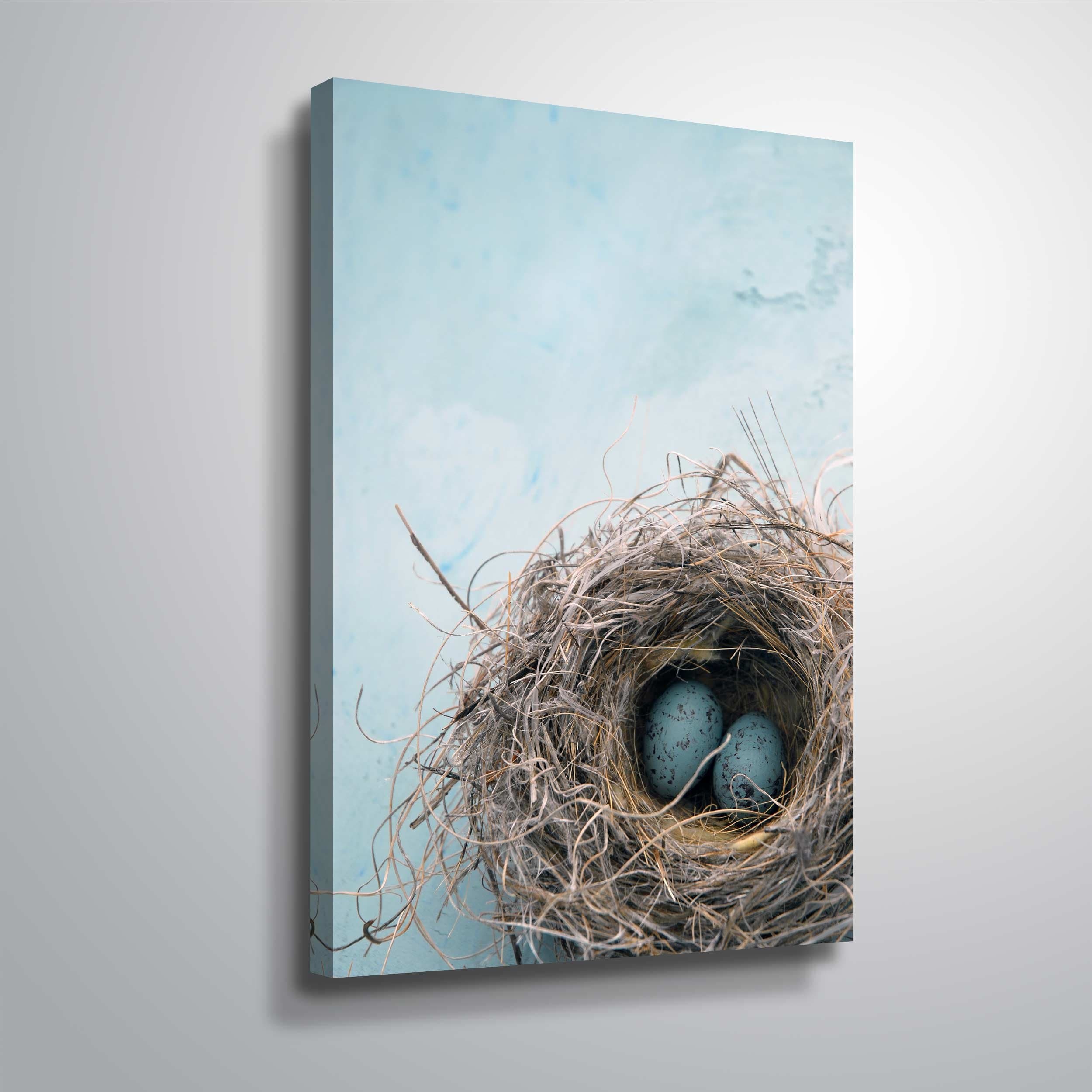 ArtWall 'Blue Nest' Gallery Wrapped Canvas Art by Elena Ray, 16 by 24-Inch