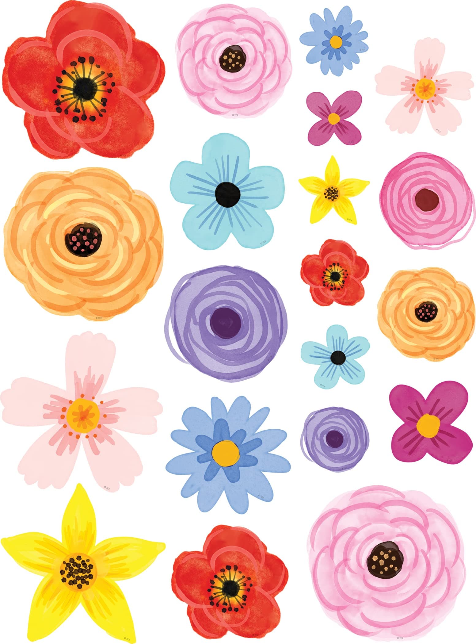 - Teacher Created Resources Wildflowers Accents - Assorted Sizes (TCR6595)