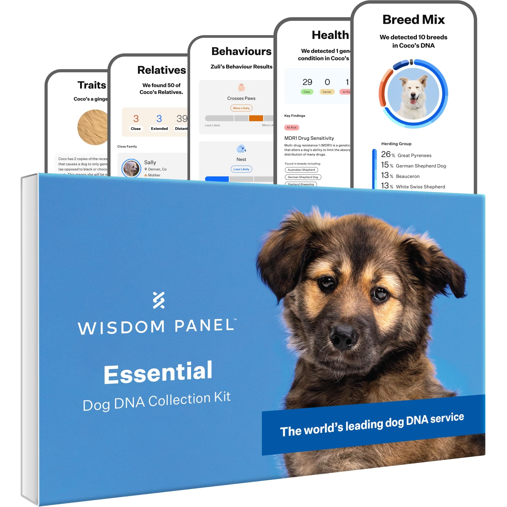 Panel Essential: Most Accurate Dog DNA Test Kit for Breed ID and Ancestry | 25+ Genetic Health Conditions | Traits | Relatives