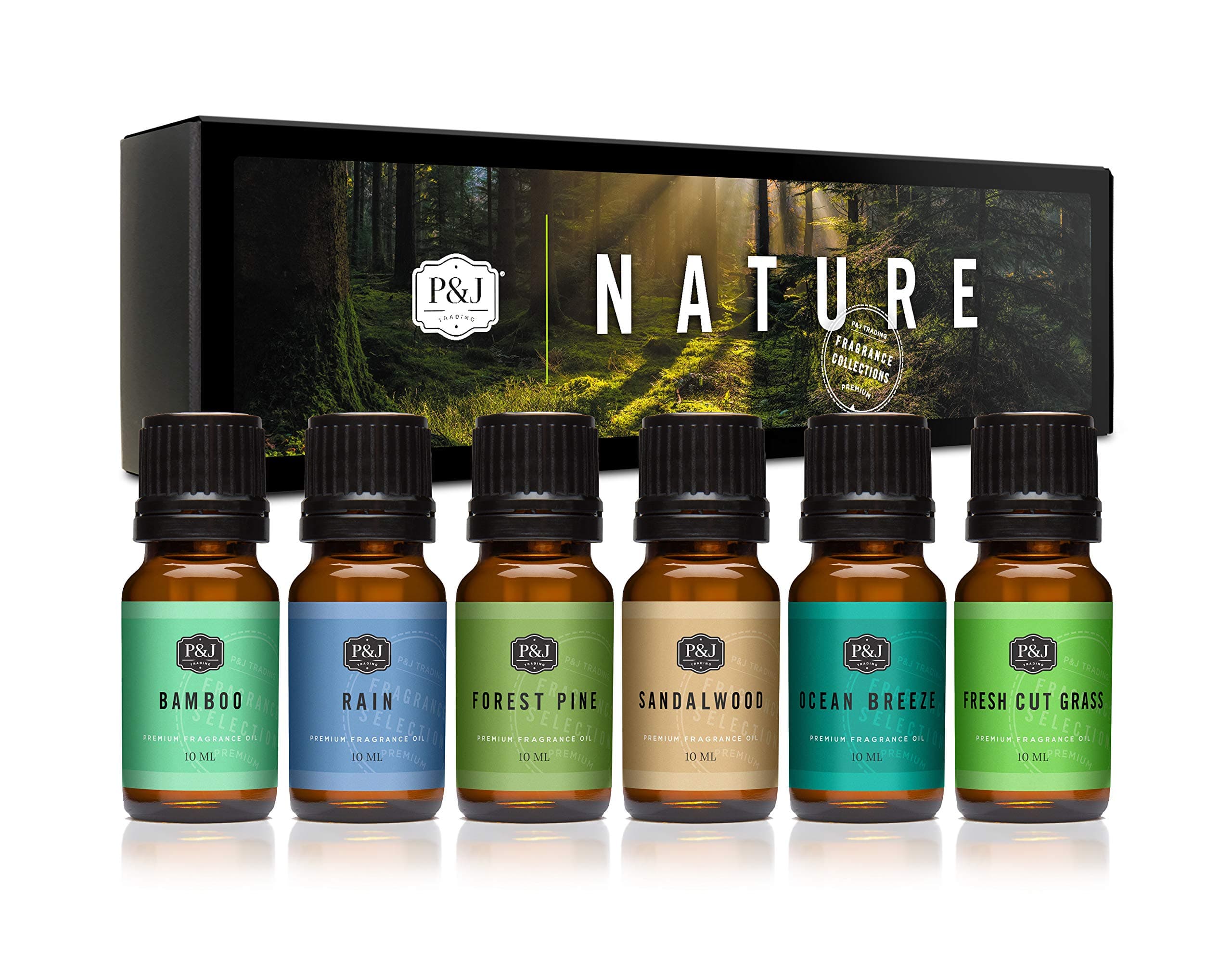 Nature Set of 6 Premium Grade Fragrance Oils Forest Pine, Patchouli, Rain, Harvest Spice, Sandalwood, Lavender 10ml