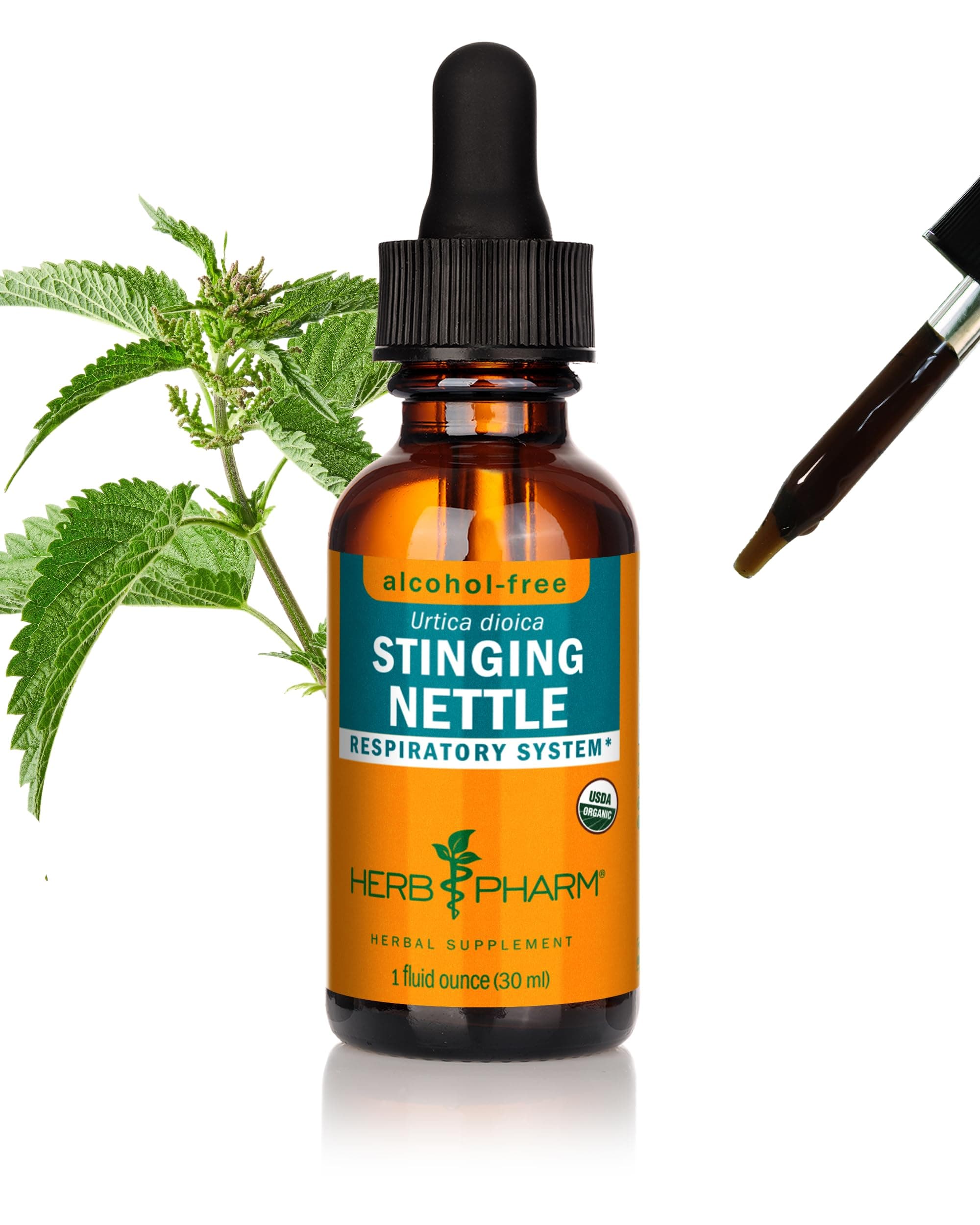 Herb Pharm Alcohol-Free Stinging Nettle Glycerite - 1 Ounce