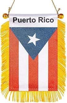 WXTWK 3 X 5 Inch Puerto Rico Flag Puerto Rican Window Hanging Flag Small Mini Car Flags Banners Rearview Mirror Decoration With Suction Cup Golden Fringy Banner