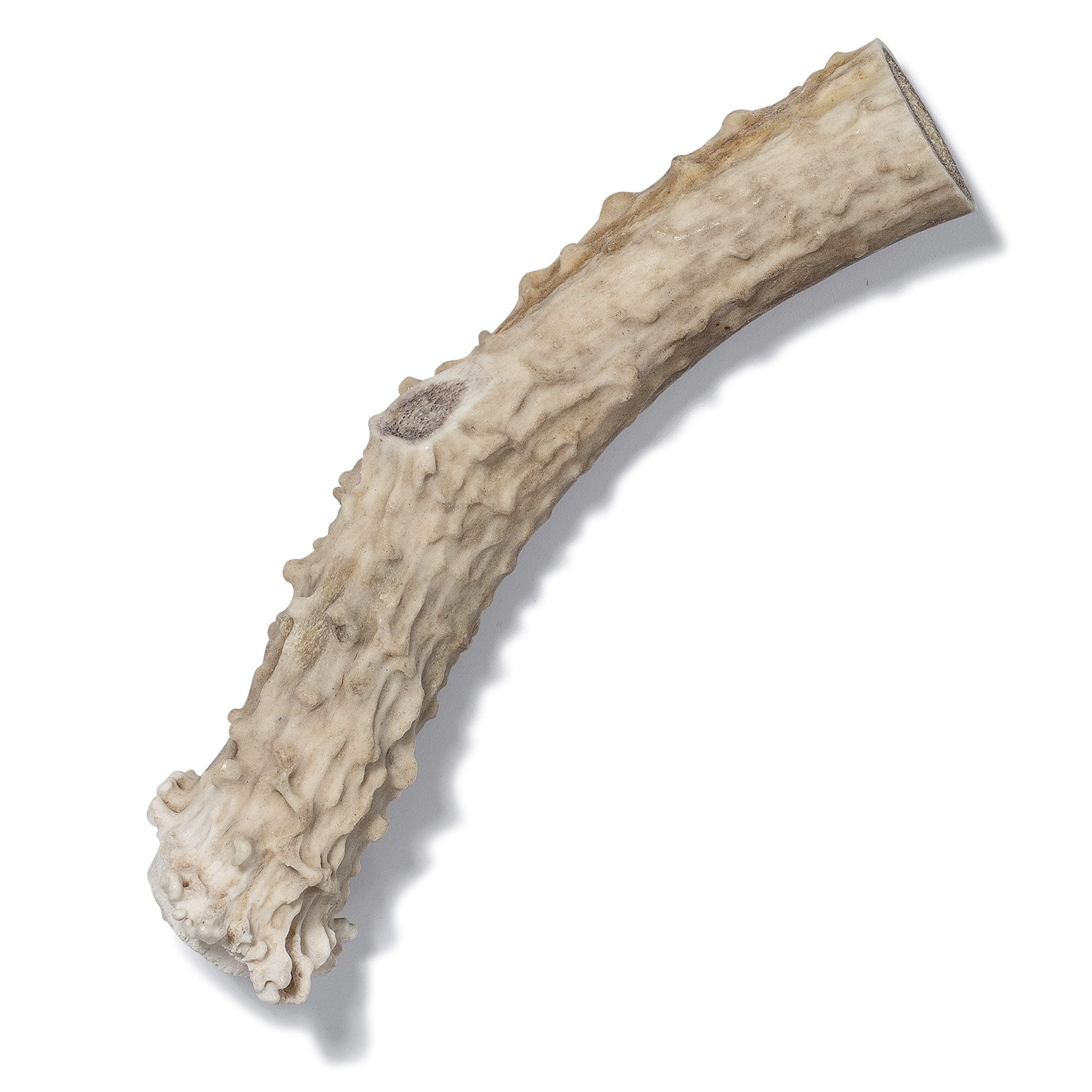 Antler Dog Chew from Pet Expertise, Large 6"-9" Long, 1 Piece