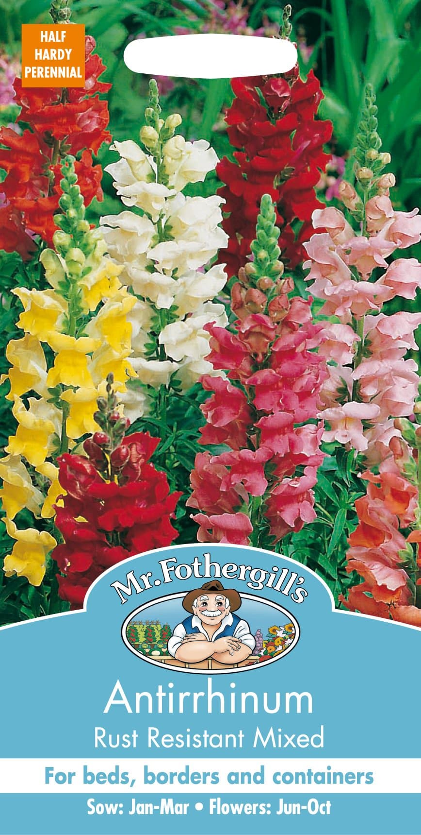 Mr Fothergill's 11501 ANTIRRHINUM Rust Resistant Mixed