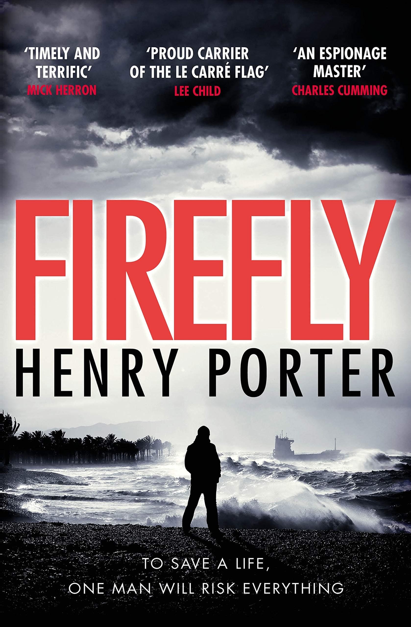 Firefly: Heartstopping chase thriller & winner of the Wilbur Smith Award (Paul Samson Spy Thriller)