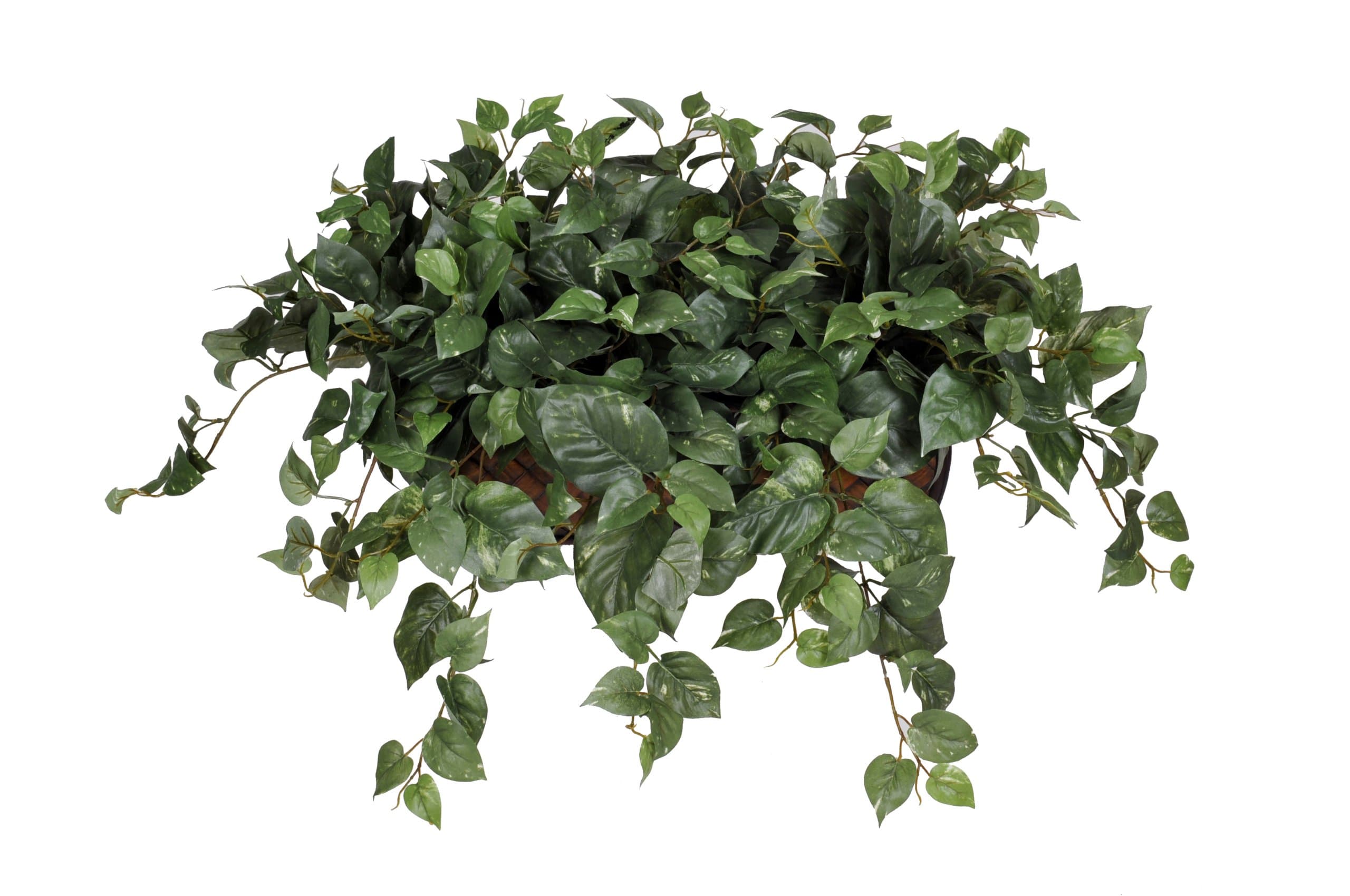 Artificial Pothos Ledge Plant with Long Trailers