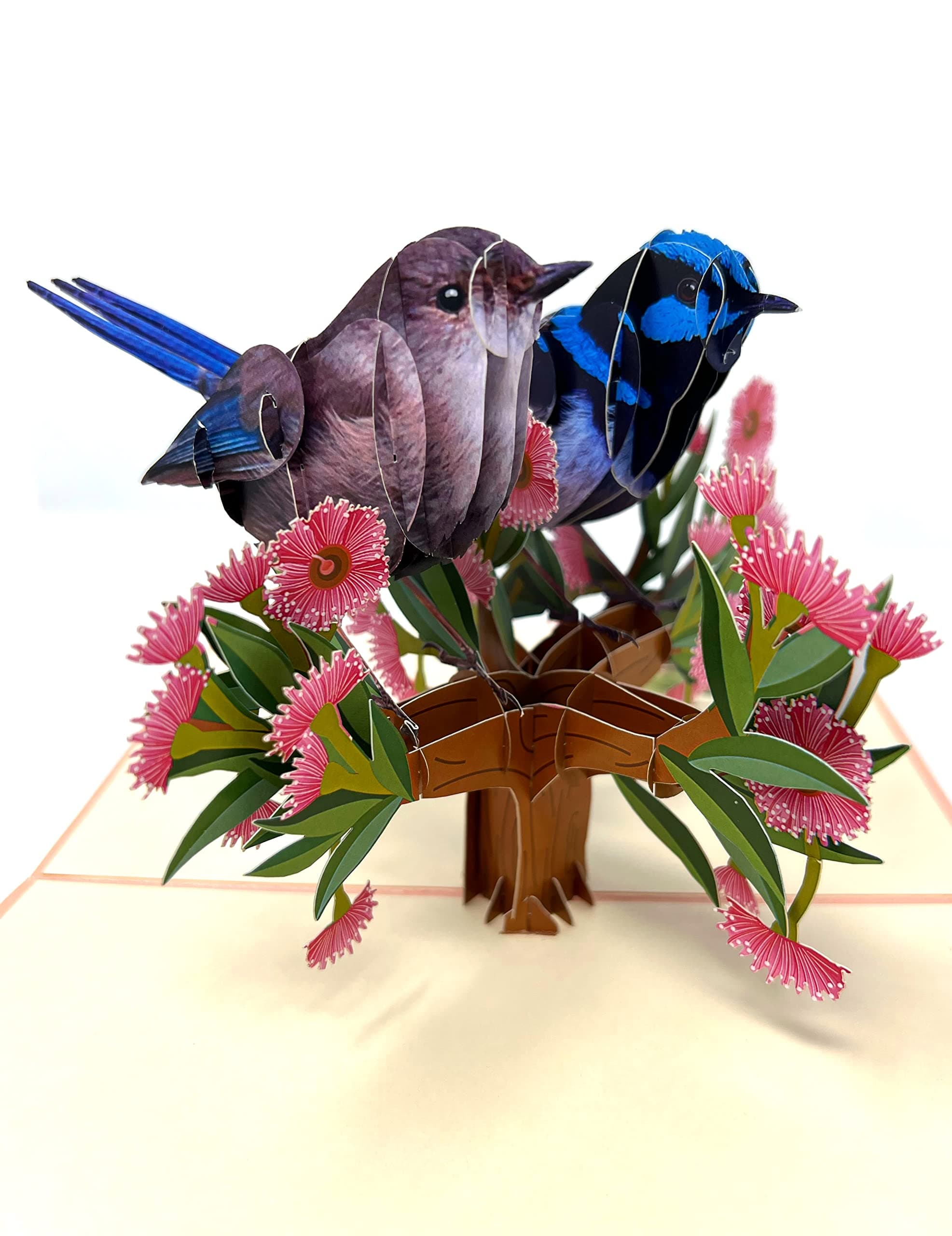 ForeverGiving Pop Up Birthday Card - 3D Wren Birds Handmade Greeting Cards for Mum, Grandma, Wife, Husband, Men and Women - Ideal Wedding, Anniversary, Mother and Fathers Day Gift