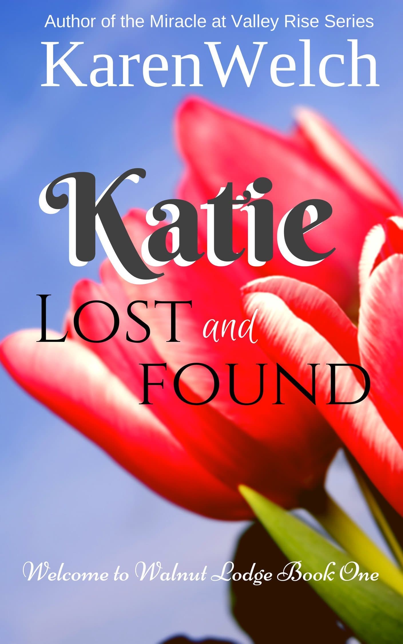 Katie Lost and Found (Welcome to Walnut Lodge Book 1)
