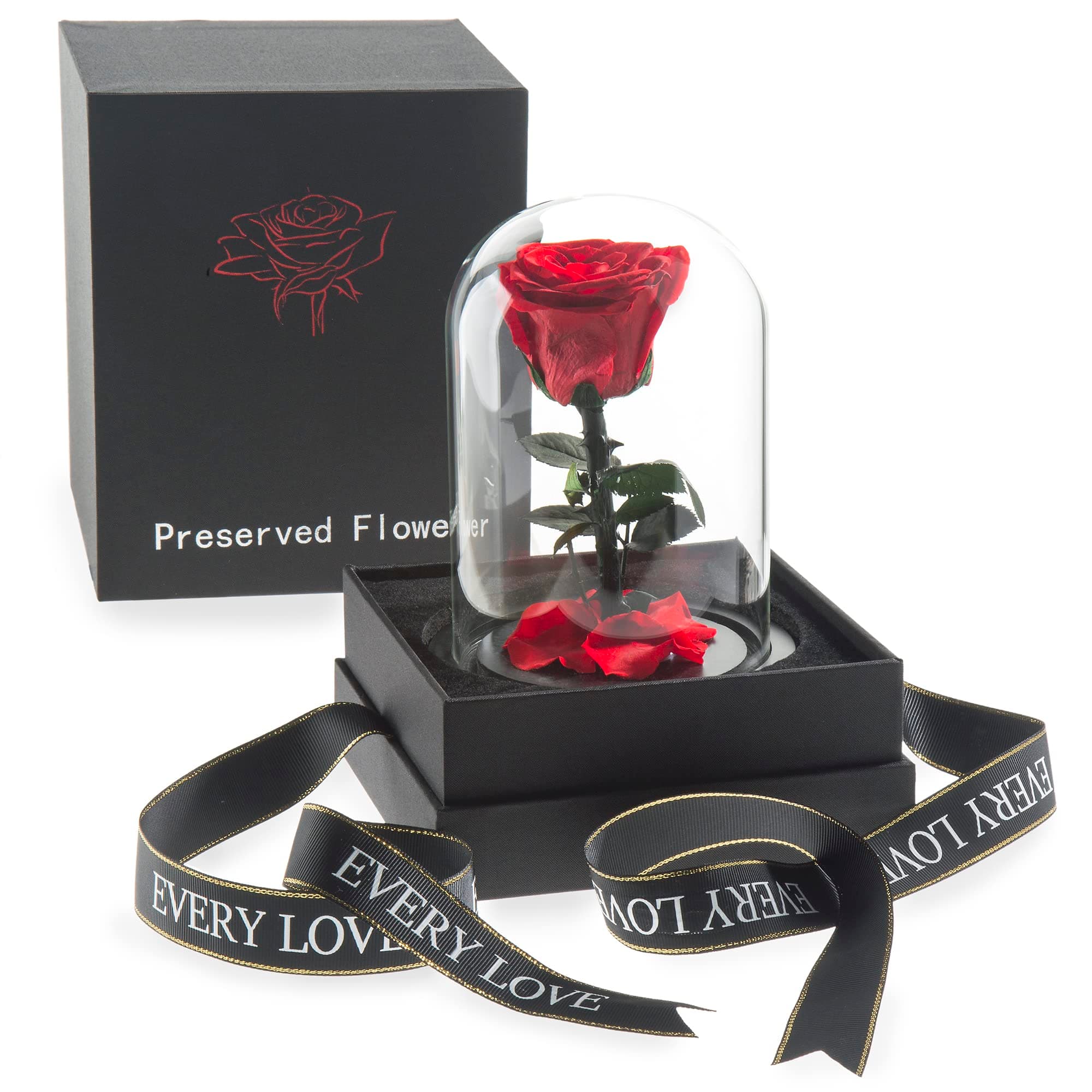 Epigoods Small Day Rose in Glass - It's a Real Rose!